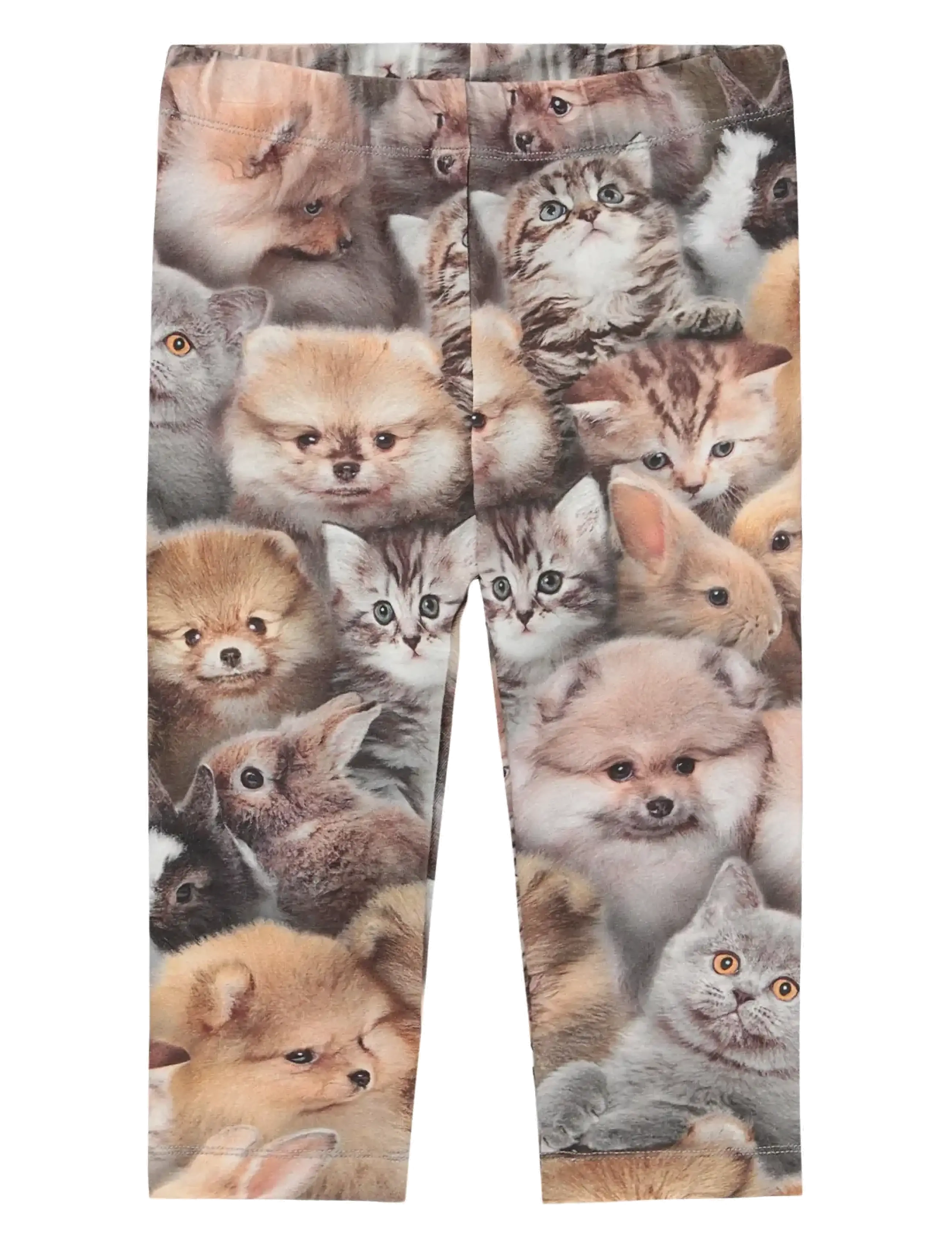 FUZZY FLUFFY