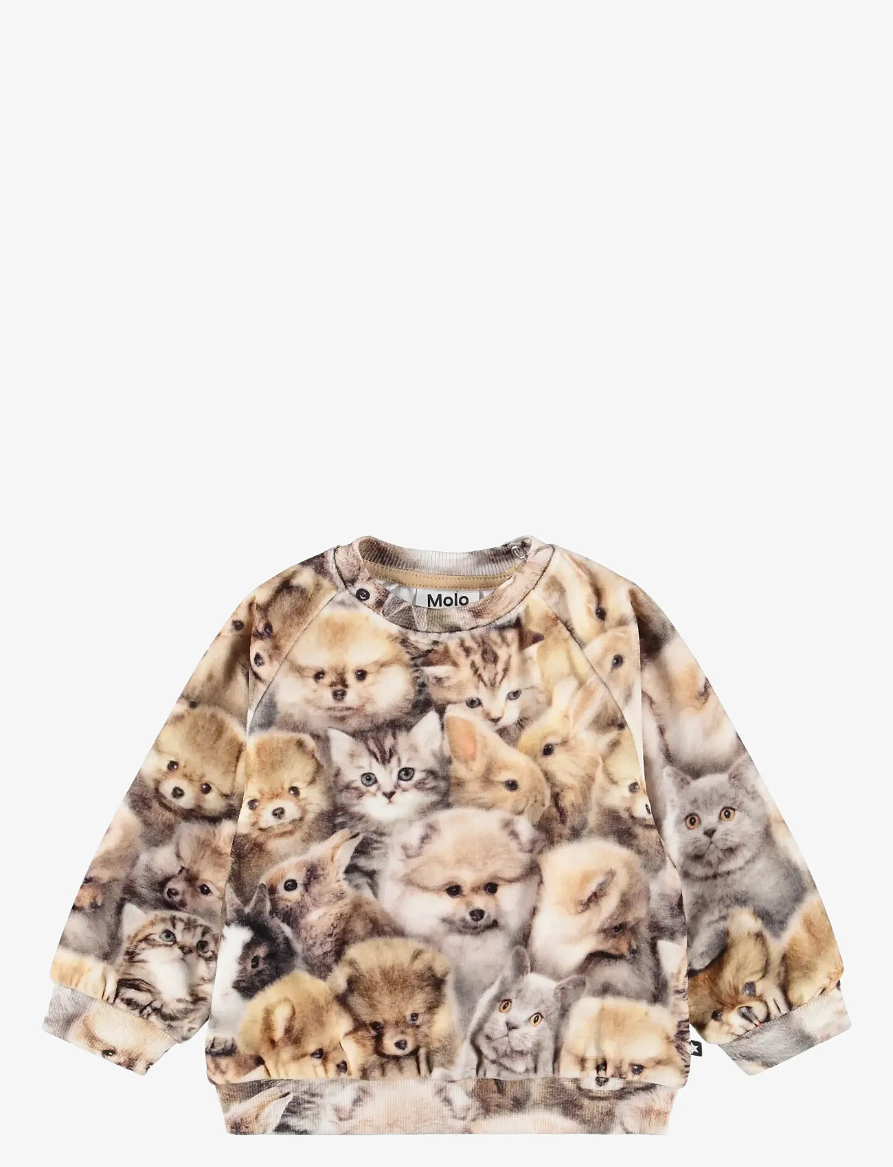 Molo - Disc - herbstliche kleidung - fuzzy fluffy - 0