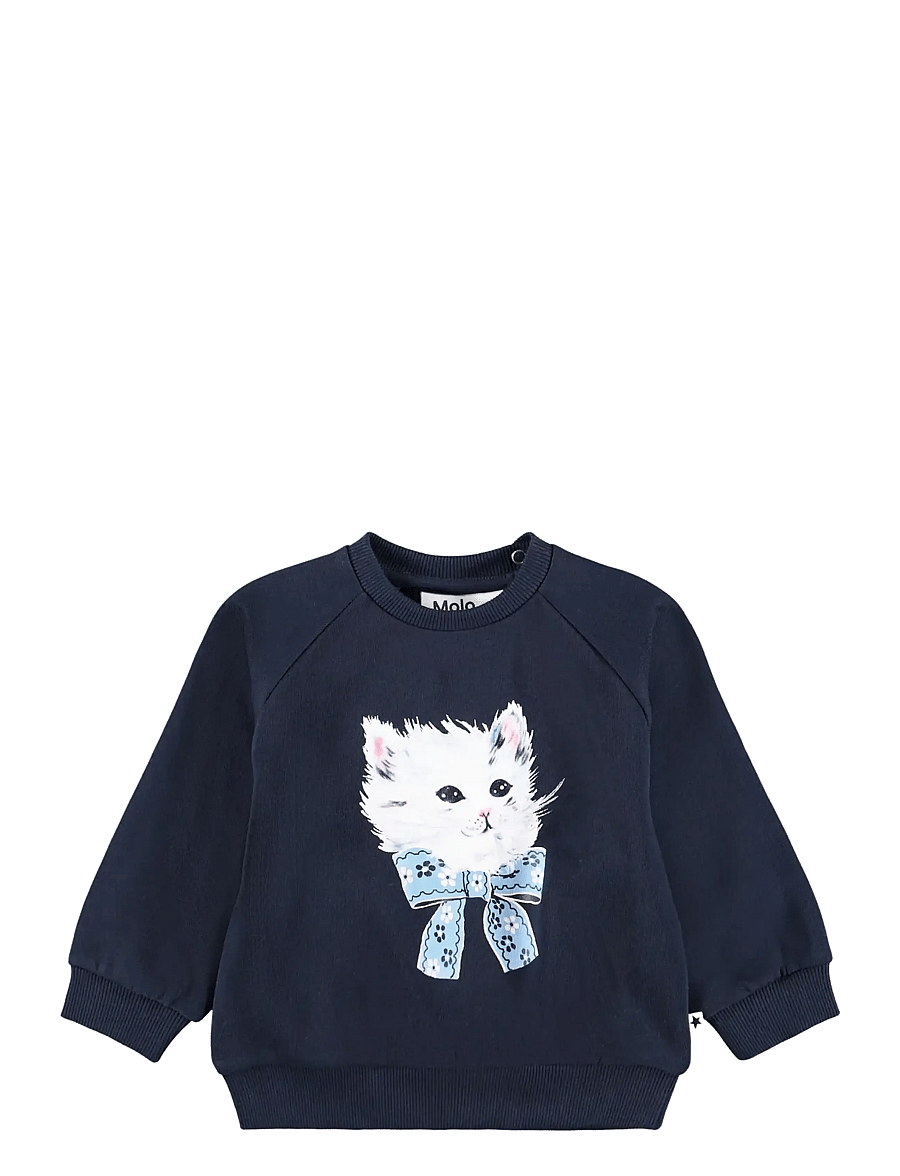 Molo - Disc - sweatshirts - fancy kittens - 0