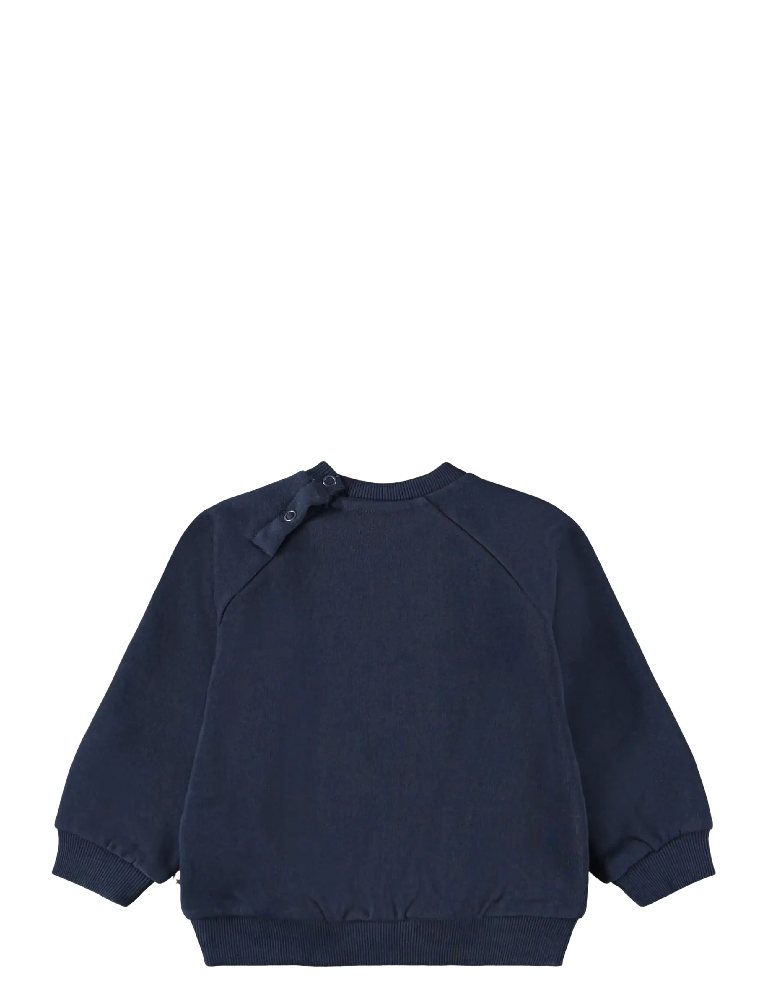 Molo - Disc - sweatshirts - fancy kittens - 1