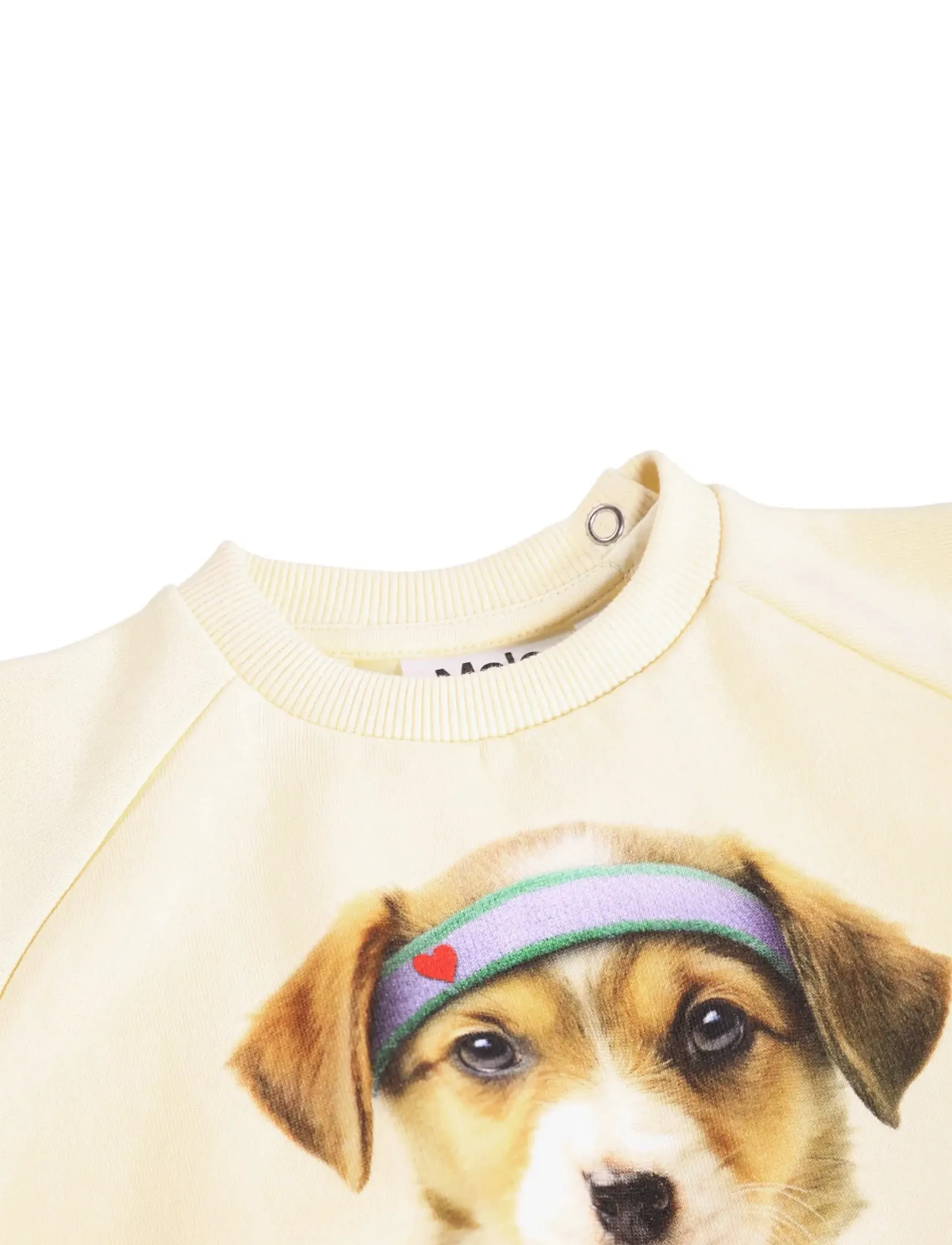 Molo - Disc - sweatshirts - game pup - 3