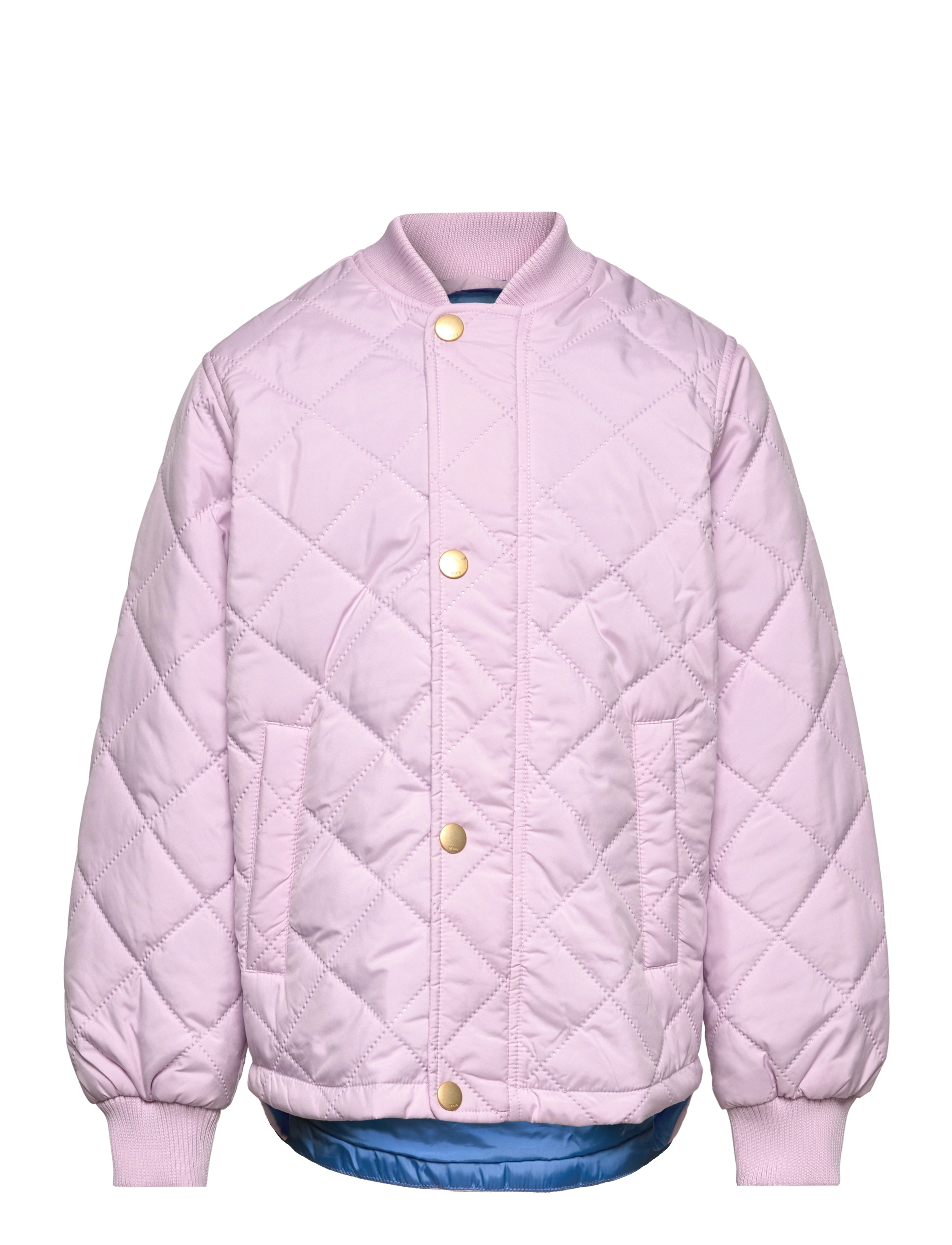 Molo Hallow - Termojoped - ALPINE GLOW / purple