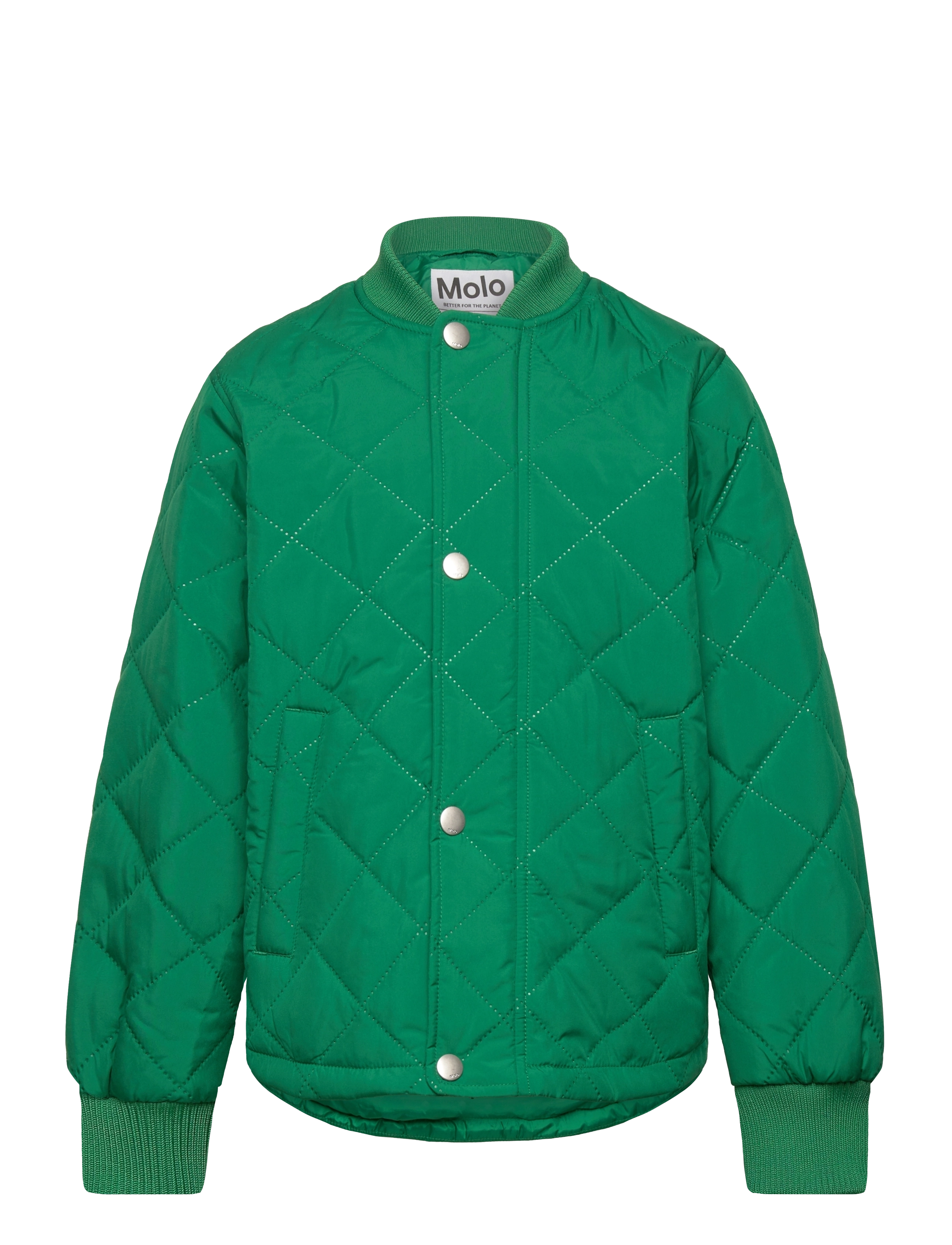 Molo Hallow - Termojoped - VIVID GREEN / green