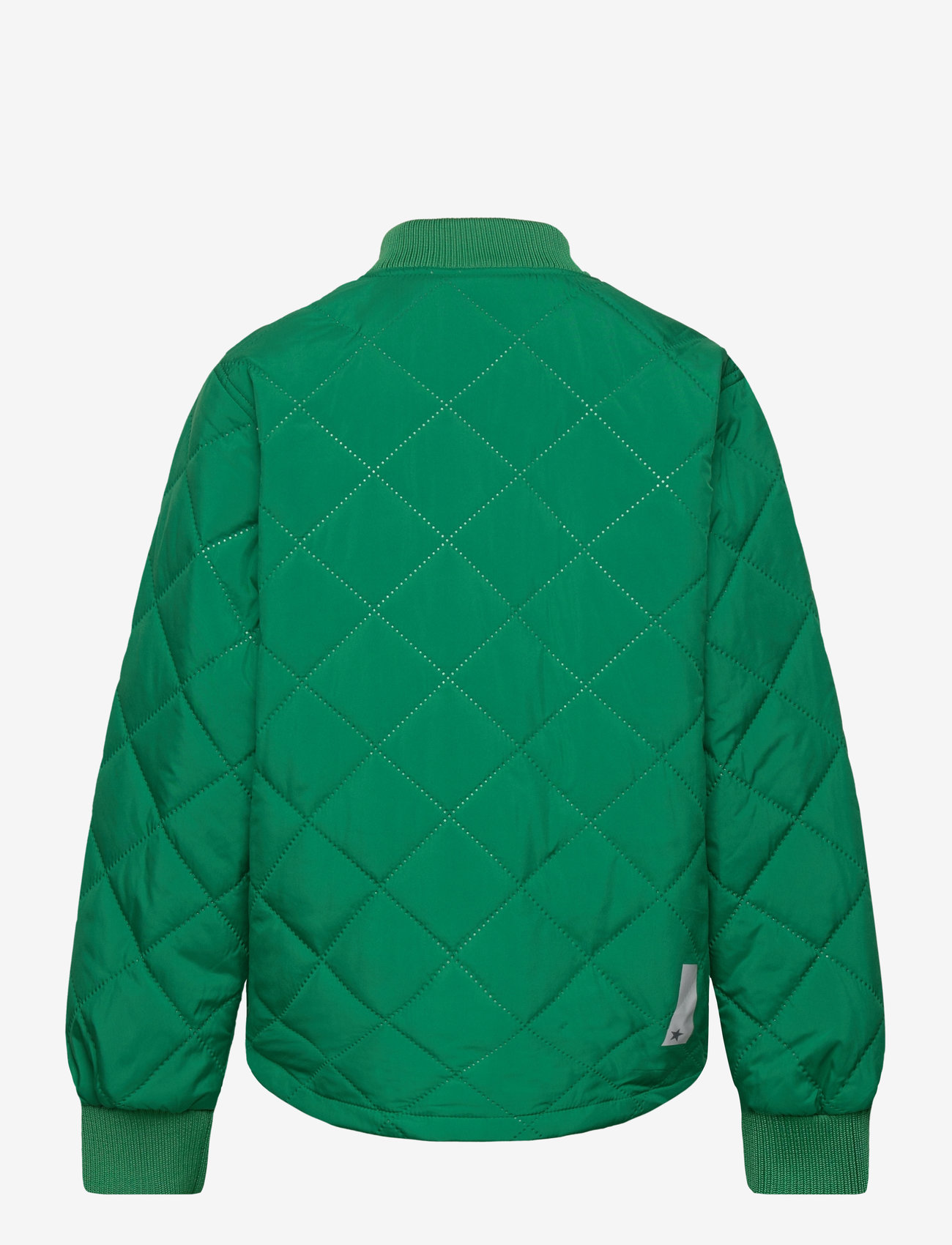 Molo - Hallow - efterårsjakker - vivid green - 1