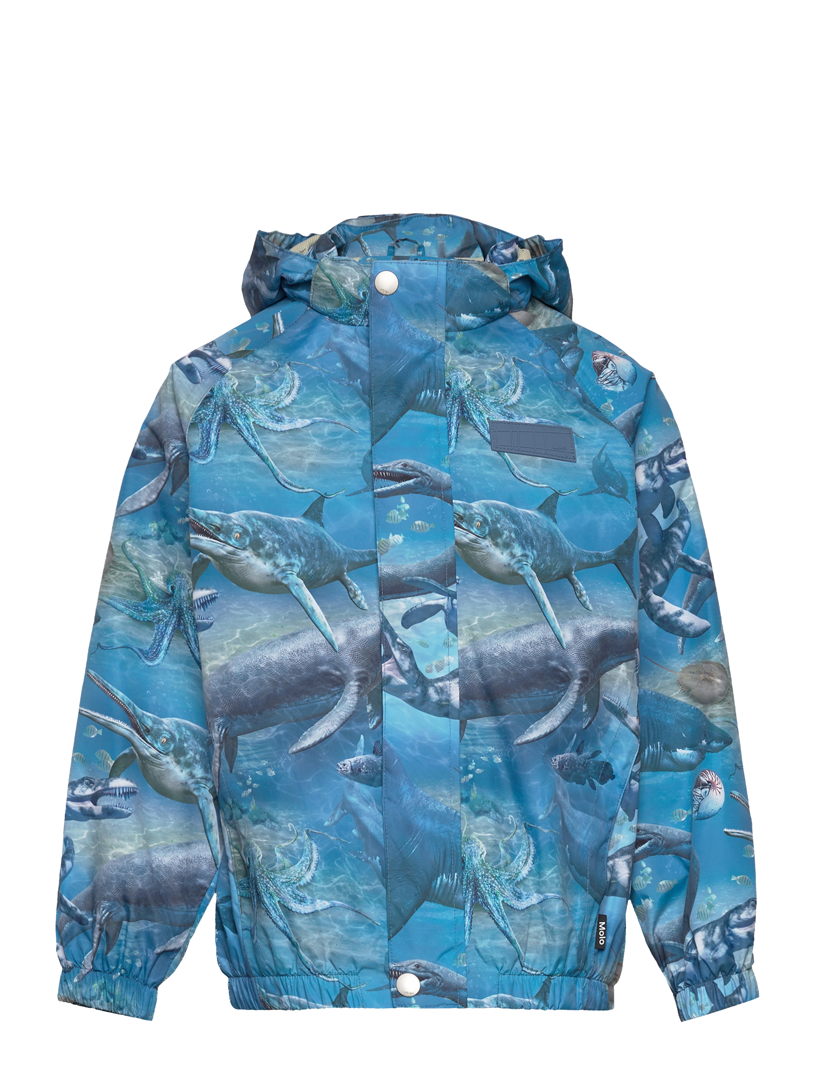 Molo Waiton - Inspiration - BIG ANCIENT SEA / blue