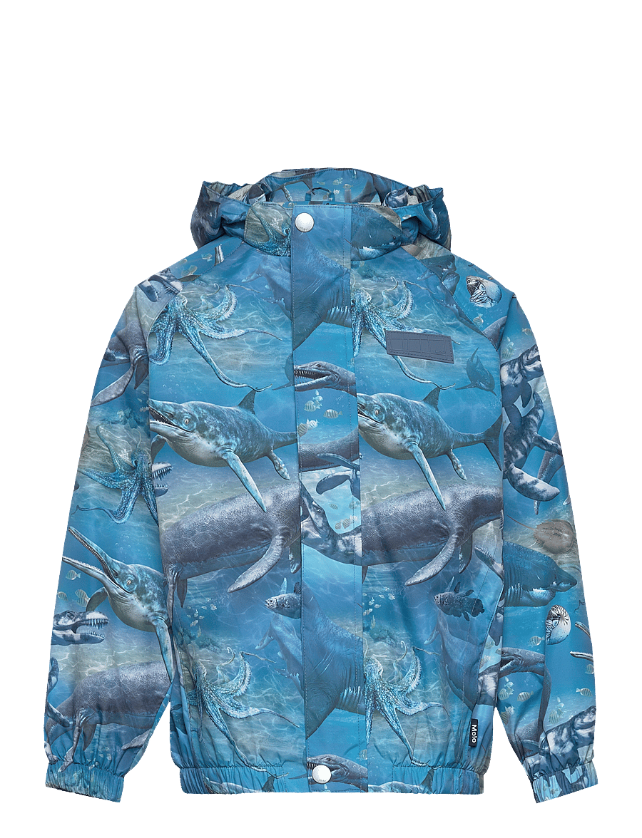 Molo - Waiton - big ancient sea - 0