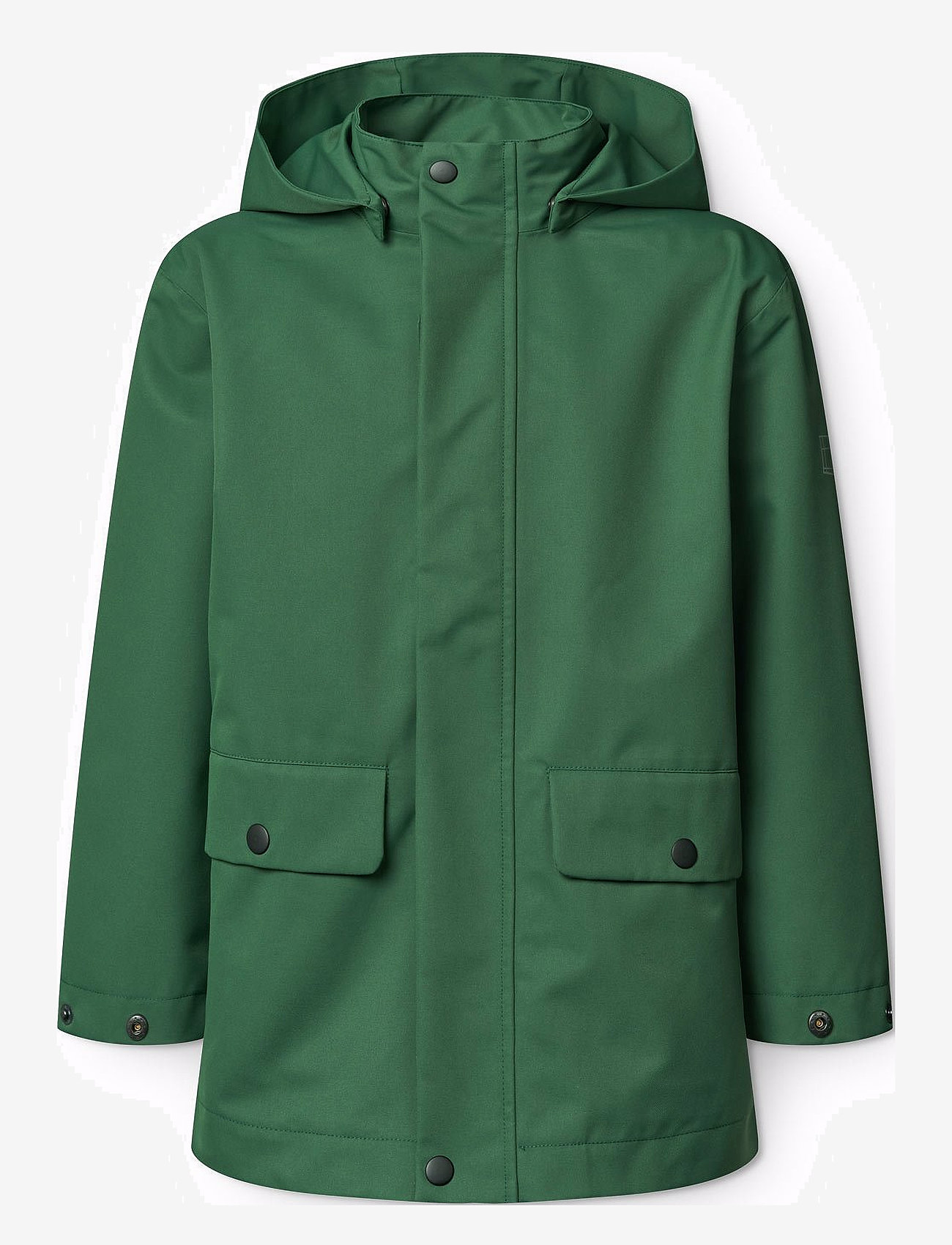 Molo - Windy - sadetakit - rubber tree - 1