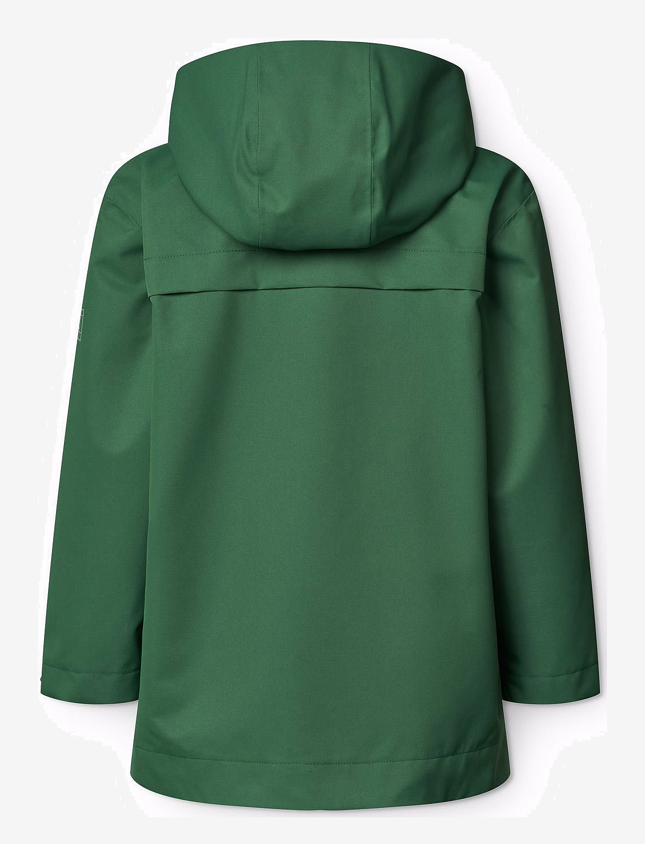 Molo - Windy - sadetakit - rubber tree - 2