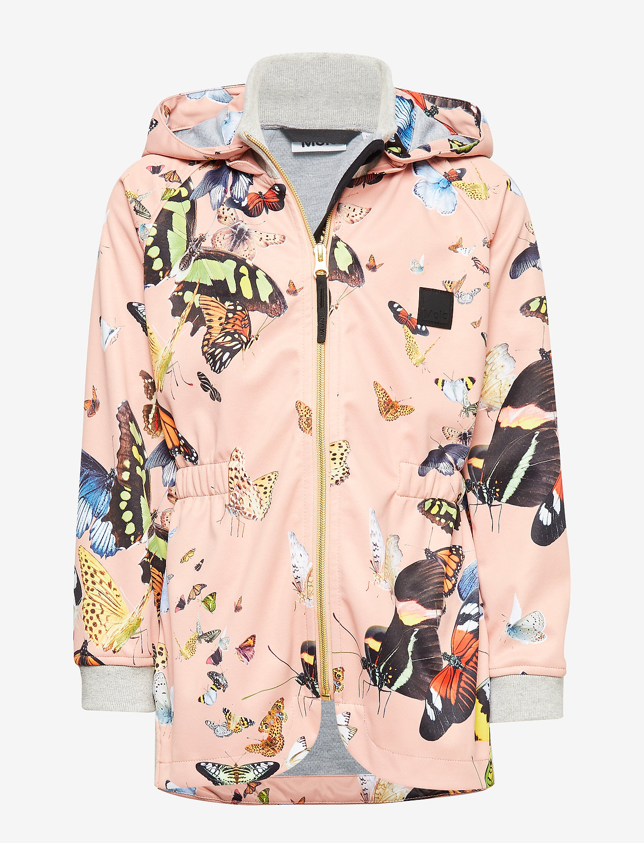 Molo - Hillary - flying butterflies - 0