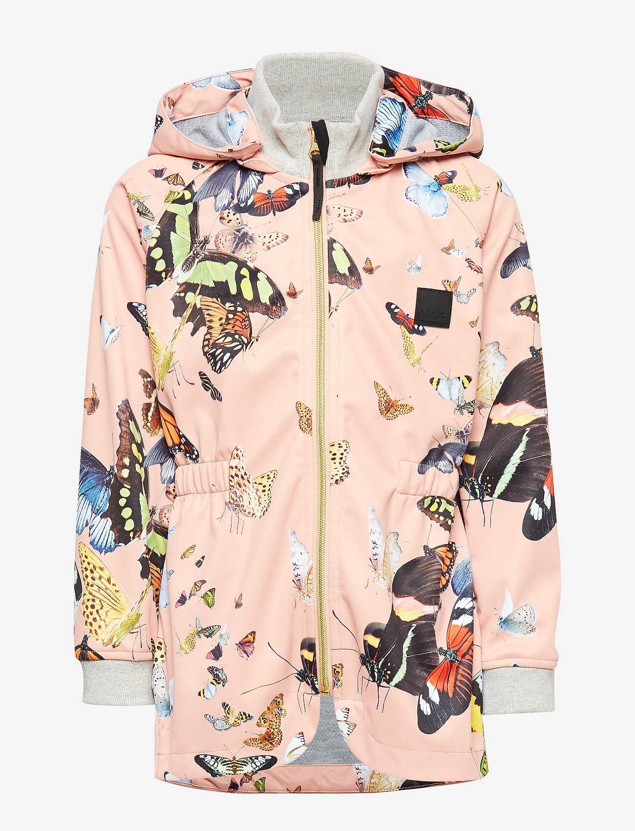 Molo - Hillary - flying butterflies - 1