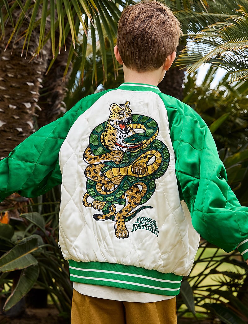 Molo - Haru - lendurijakid - jaguar and snake - 0