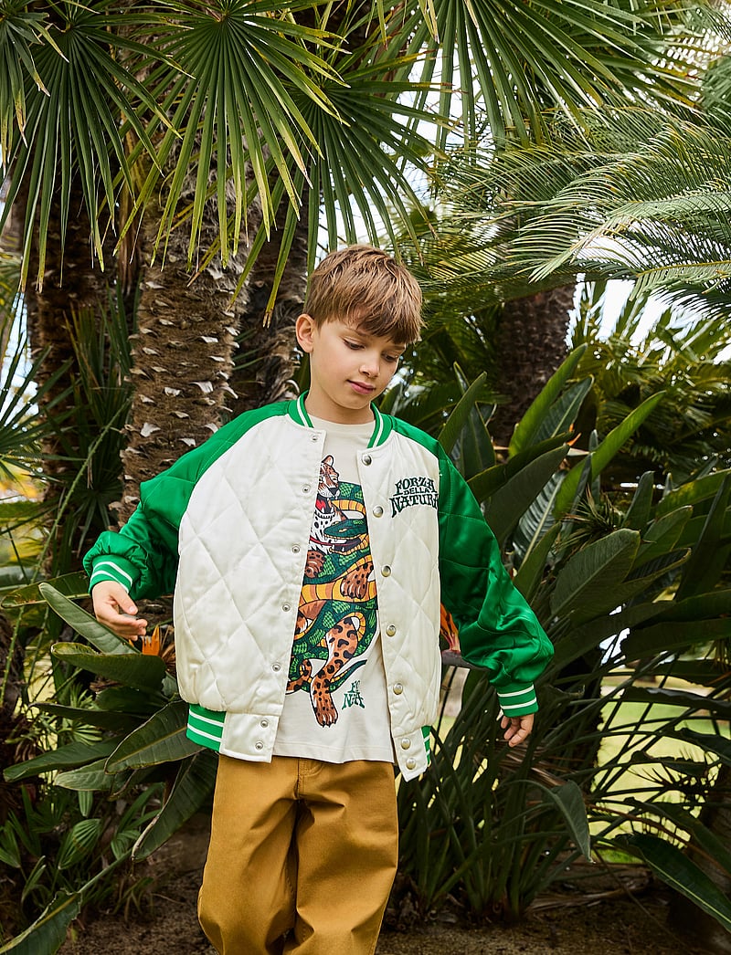 Molo - Haru - lendurijakid - jaguar and snake - 4