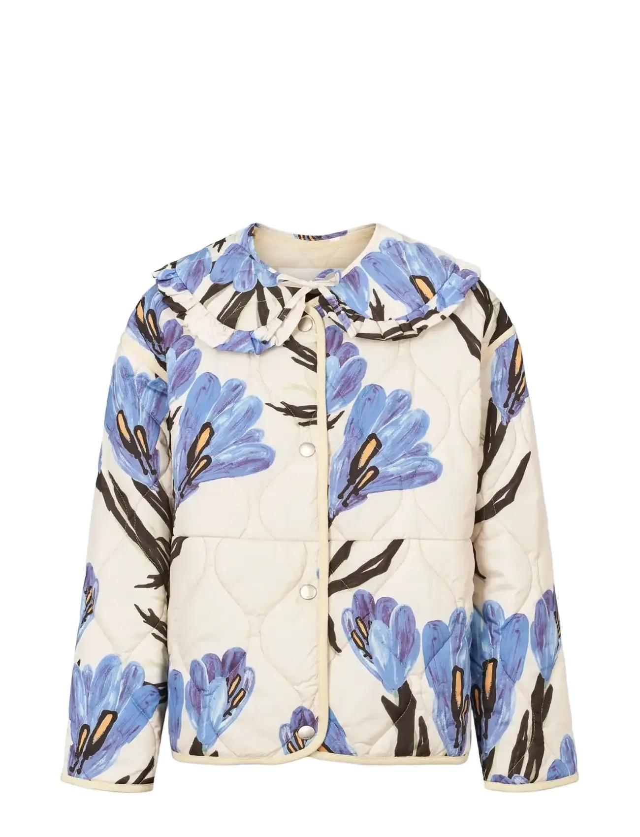 Molo Hailey - Takit - PAINTED CROCUS / multi