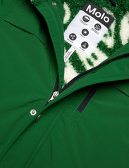 Molo - Heiko - winter jackets - woodland green - 2