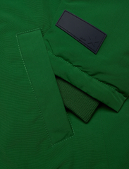 Molo - Heiko - winter jackets - woodland green - 3