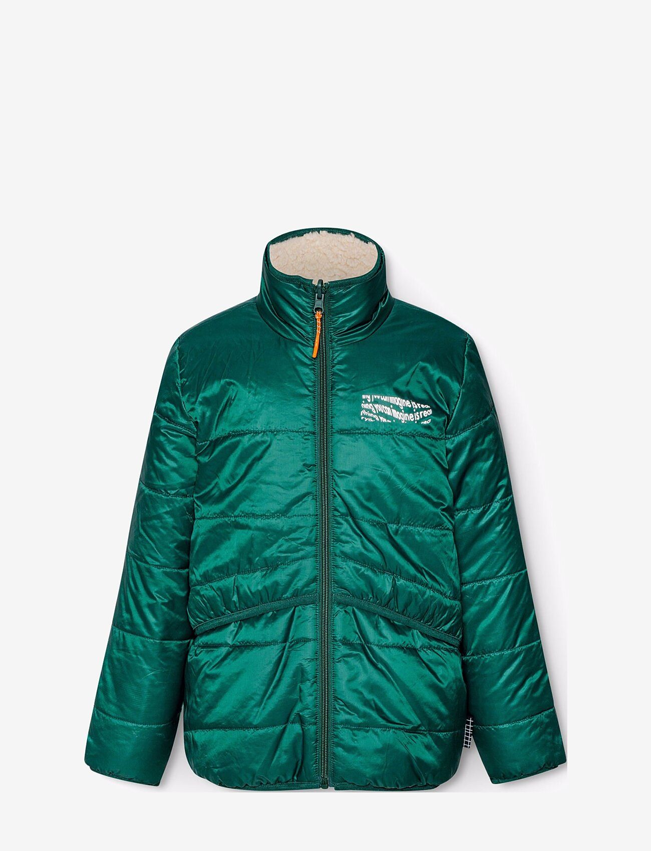 Molo - Ugo - ponderosa pine - 3