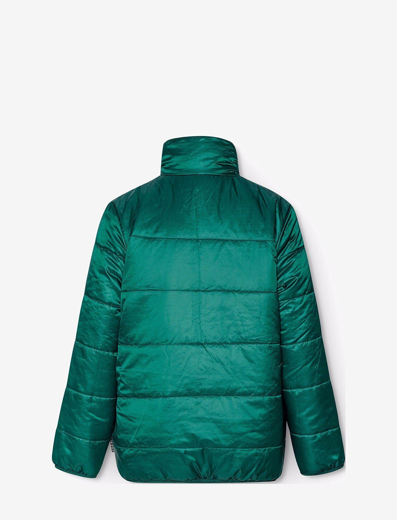 Molo - Ugo - ponderosa pine - 4