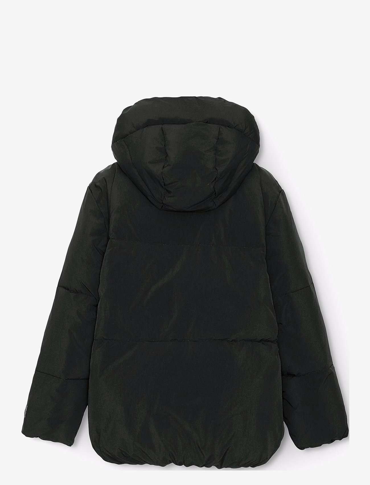 Molo - Hayden - dunjakker & forede jakker - black - 1