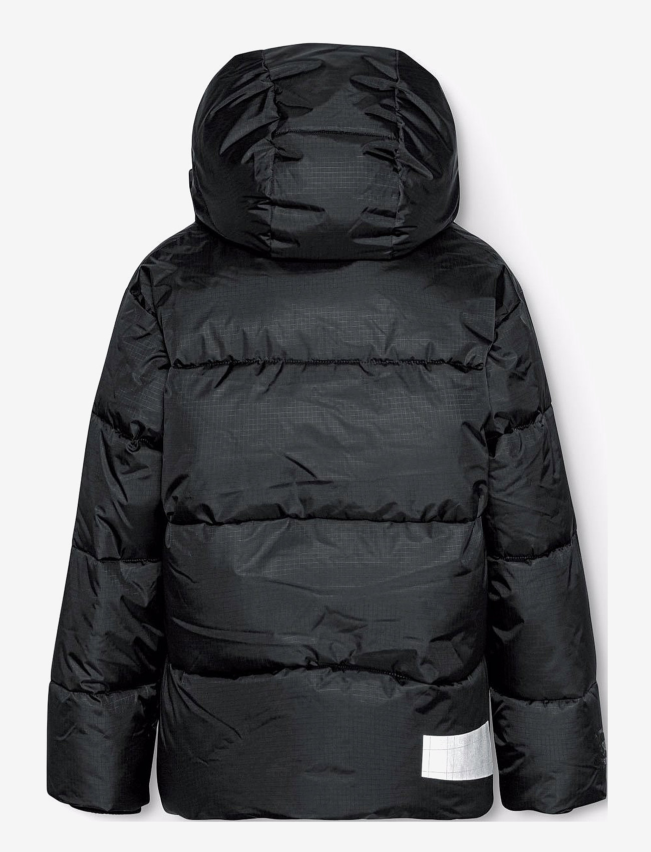 Molo - Hilo - daunen- und steppjacken - black - 1