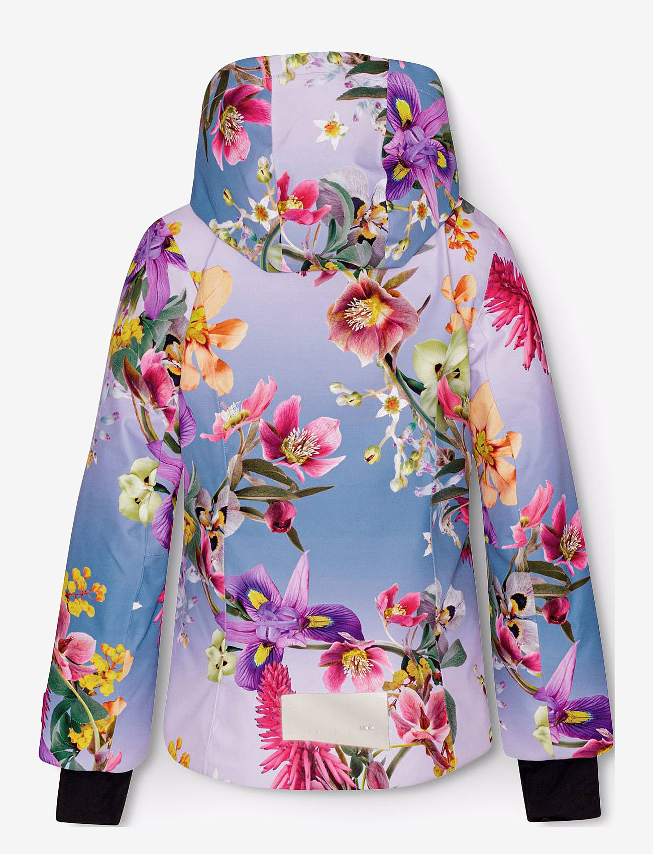 Molo - Pearson - gradient bloom - 1