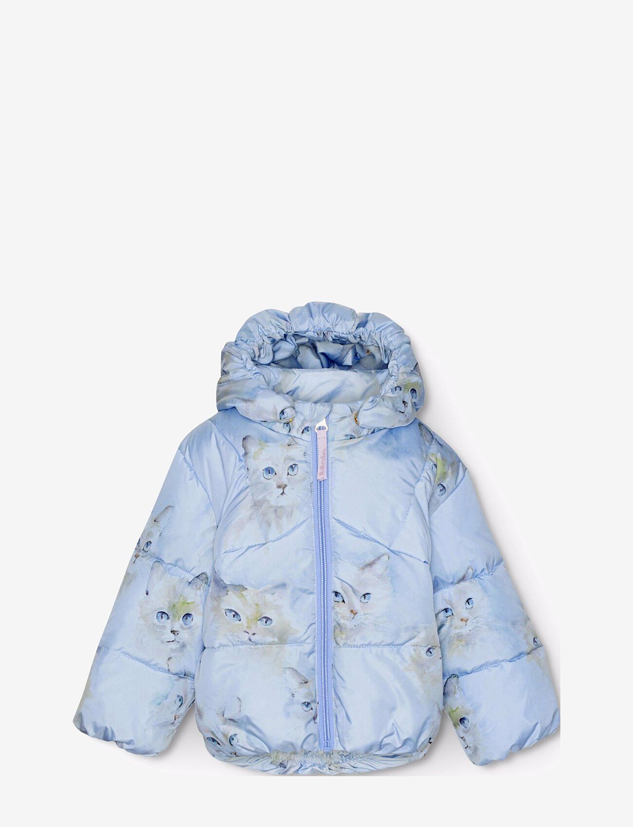 Molo - Harpo - aquarelle blue - 0