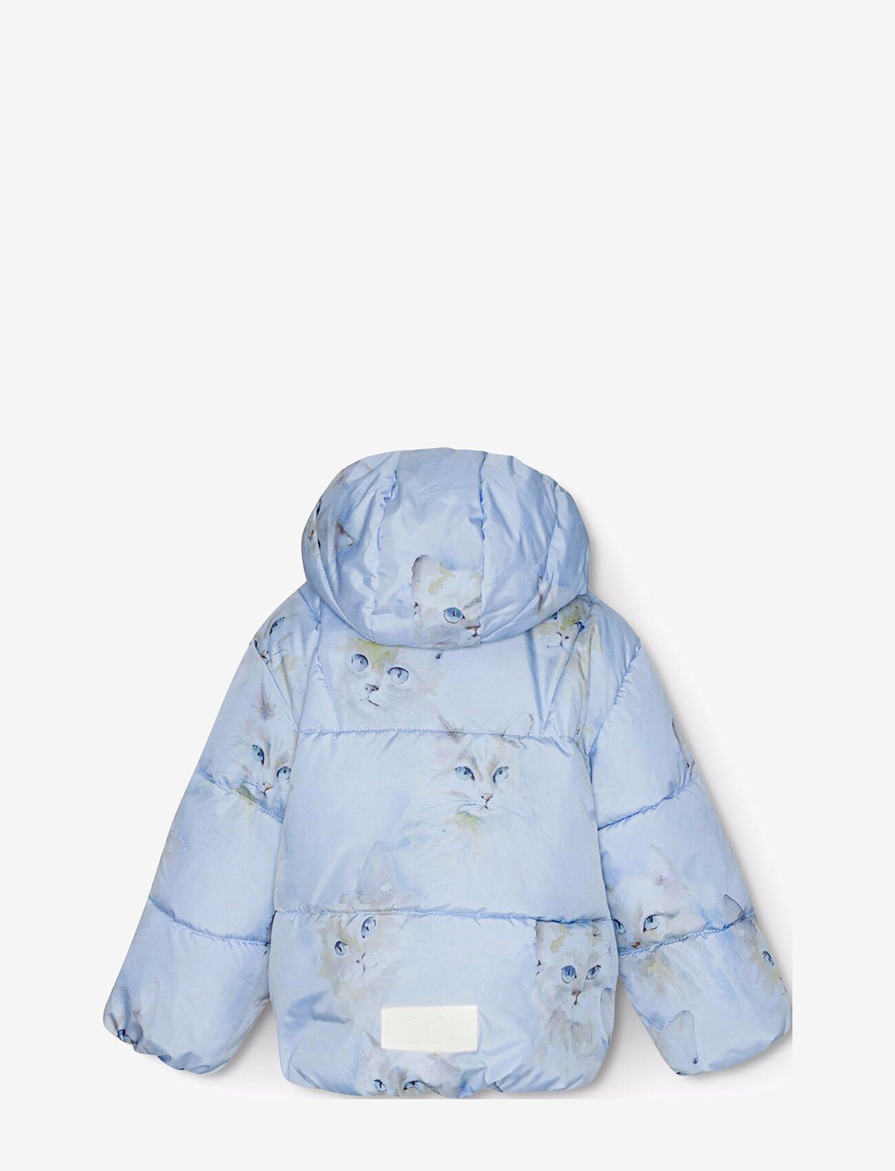 Molo - Harpo - aquarelle blue - 1