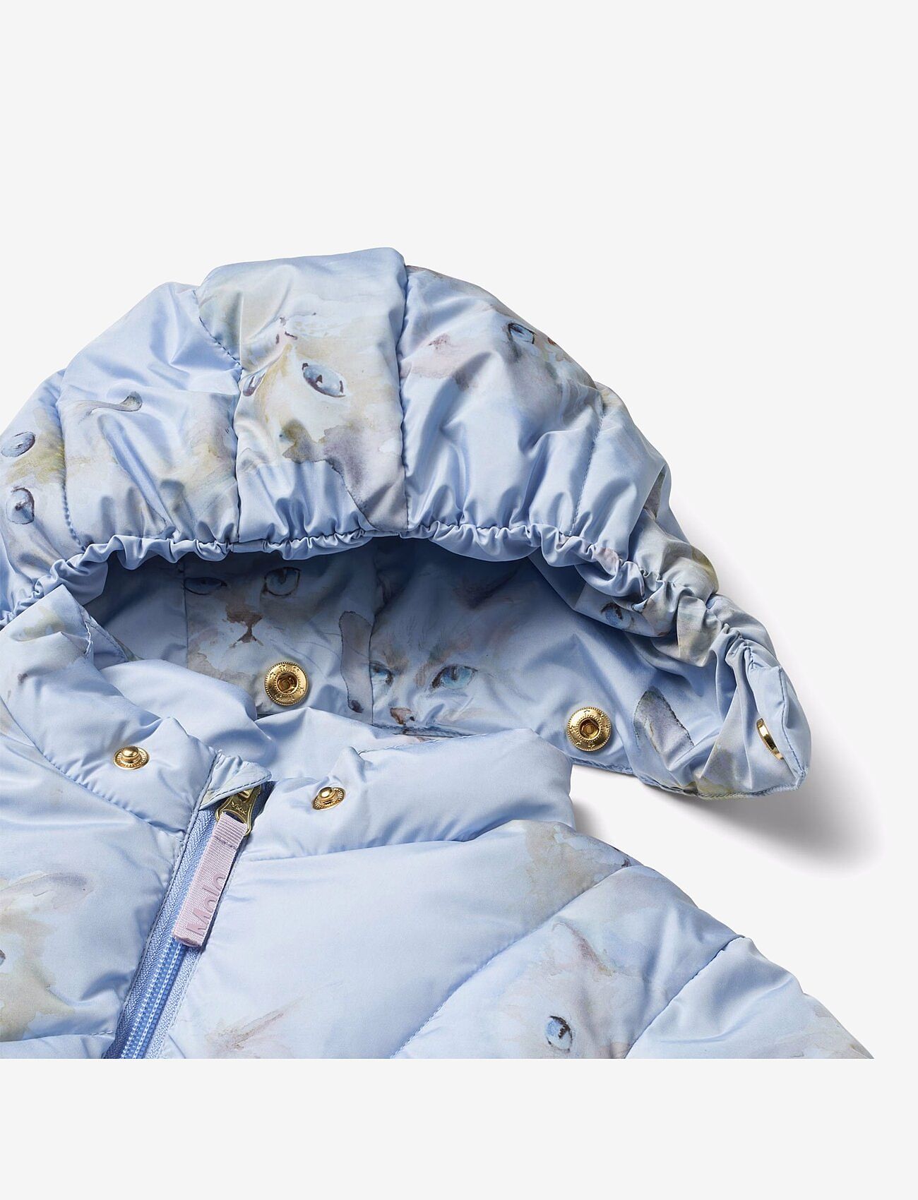 Molo - Harpo - aquarelle blue - 2