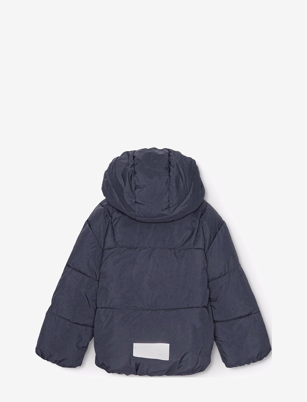 Molo - Harpo - dark night - 2