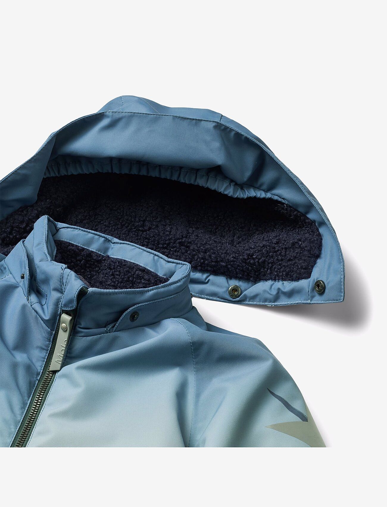 Molo - Polar - amazing dino - 4