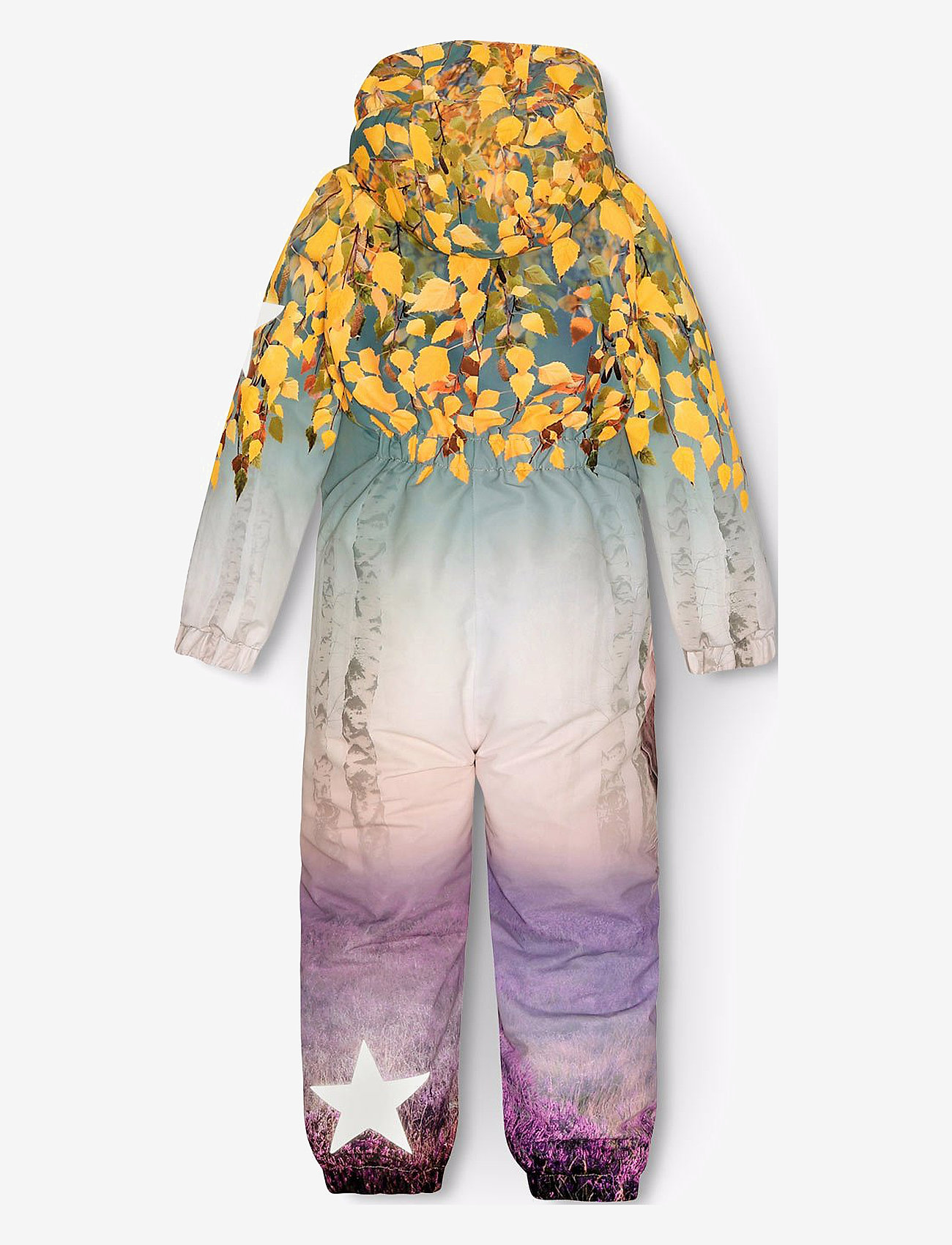 Molo - Polar - dreamy forest - 1