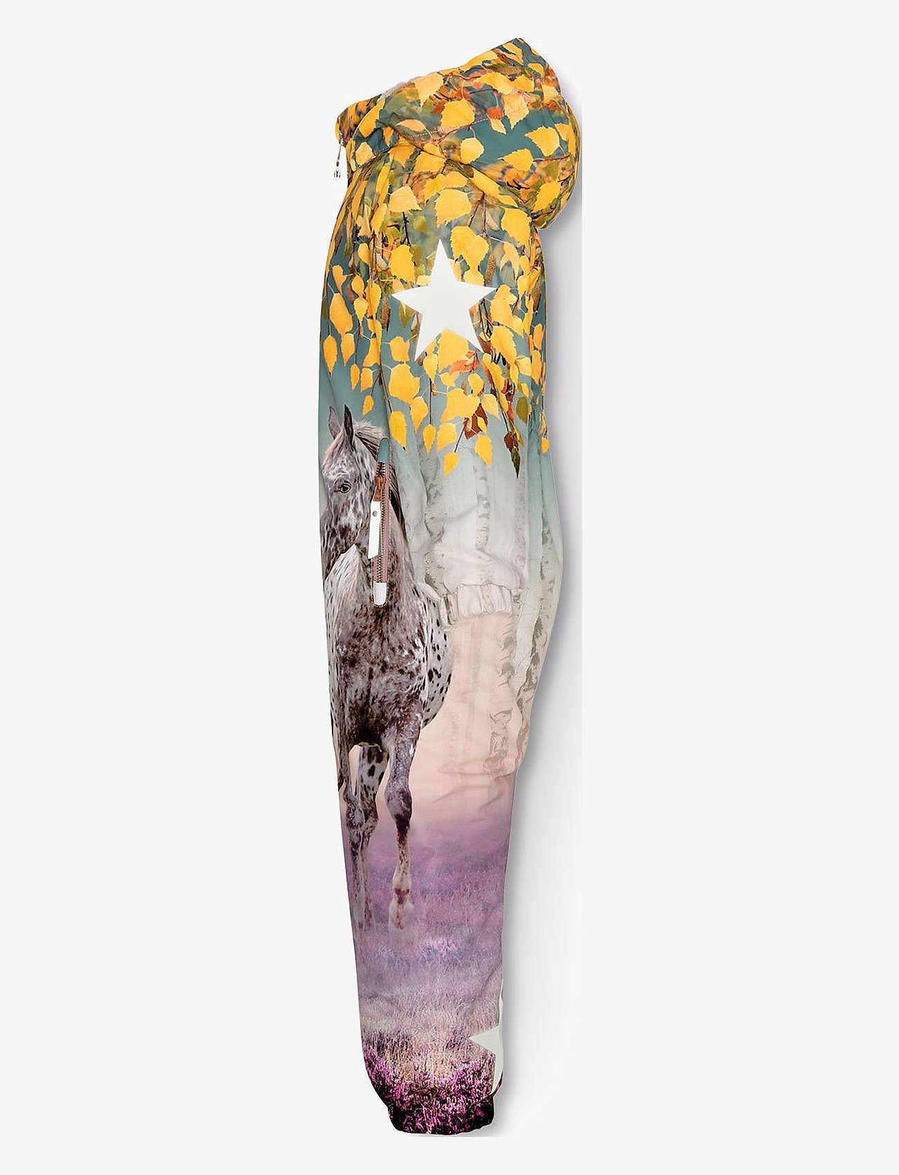 Molo - Polar - dreamy forest - 2