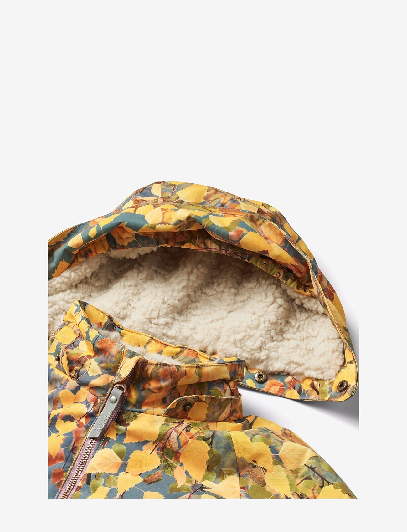 Molo - Polar - dreamy forest - 3