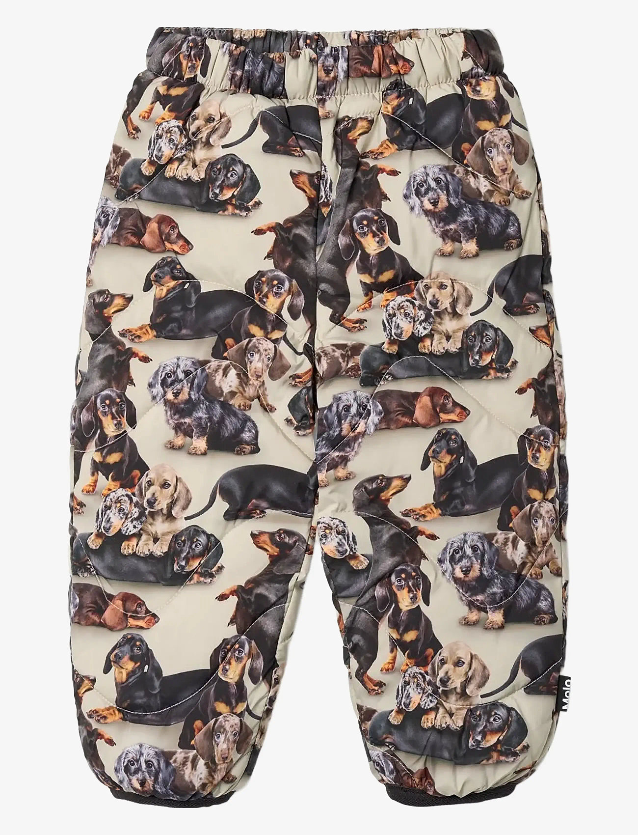 Molo - Percy - Överdragsbyxor - dashshund soft - 0