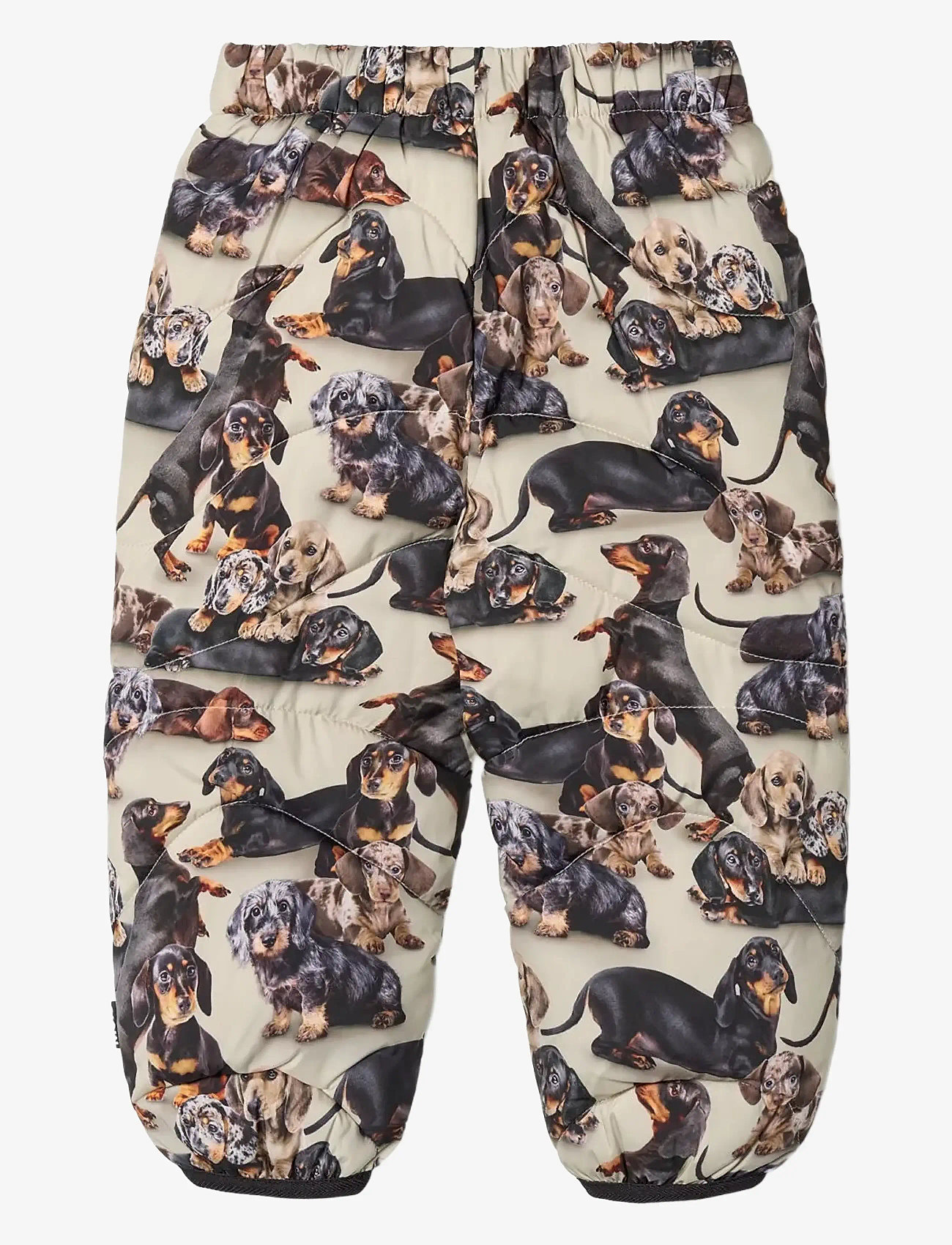 Molo - Percy - Överdragsbyxor - dashshund soft - 1