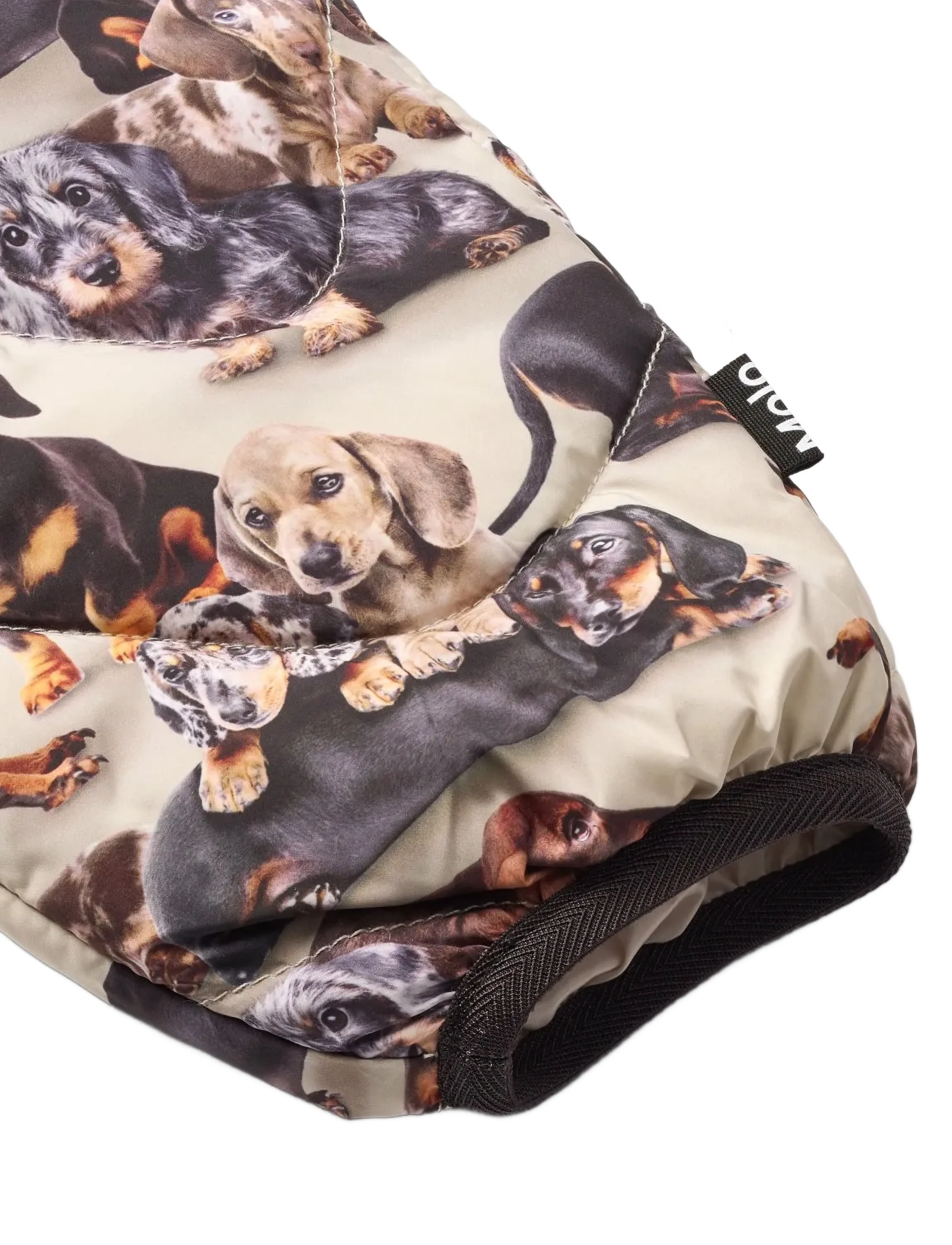Molo - Percy - cover pants - dashshund soft - 2