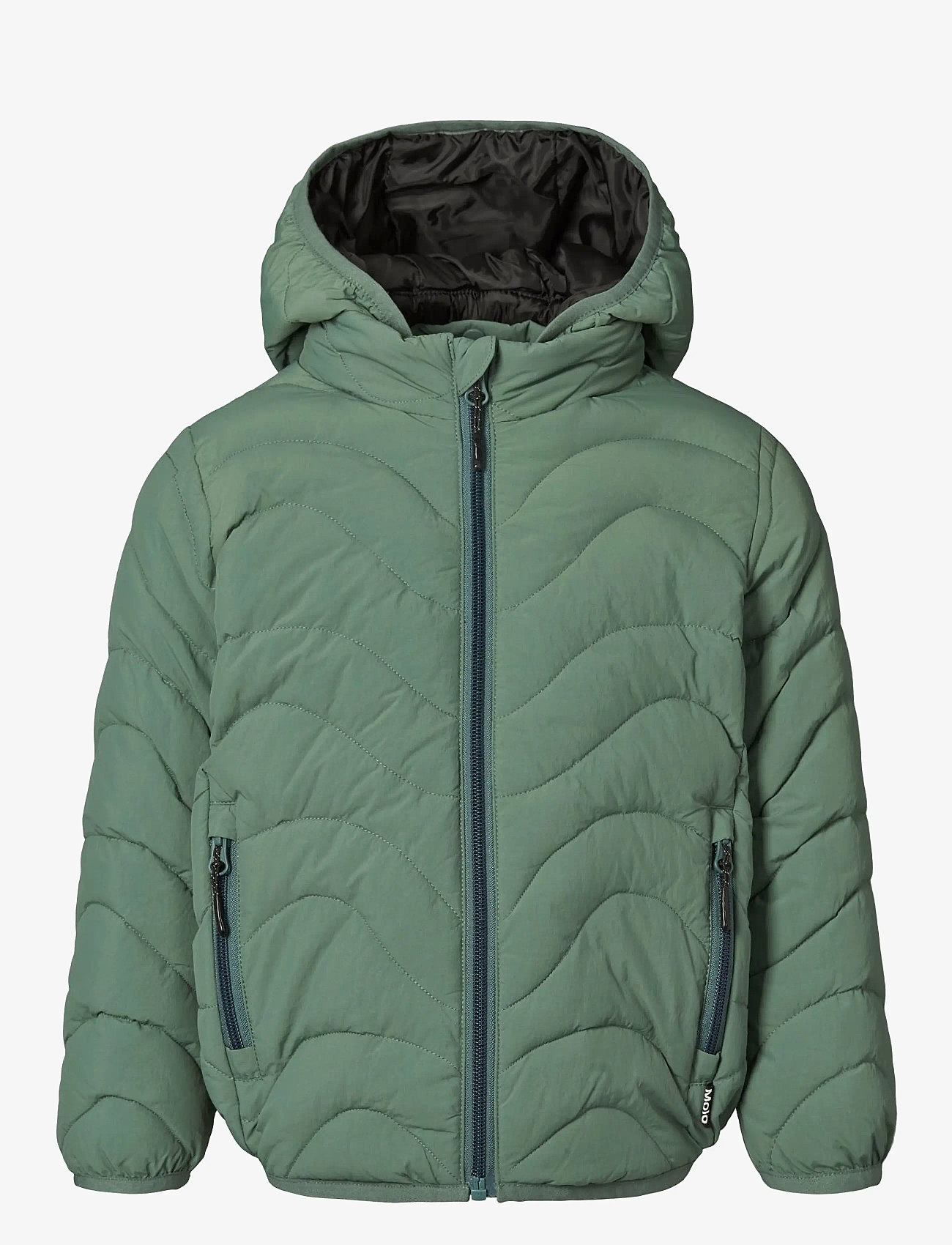 Molo - Hao - dunjakker & forede jakker - mist green - 0