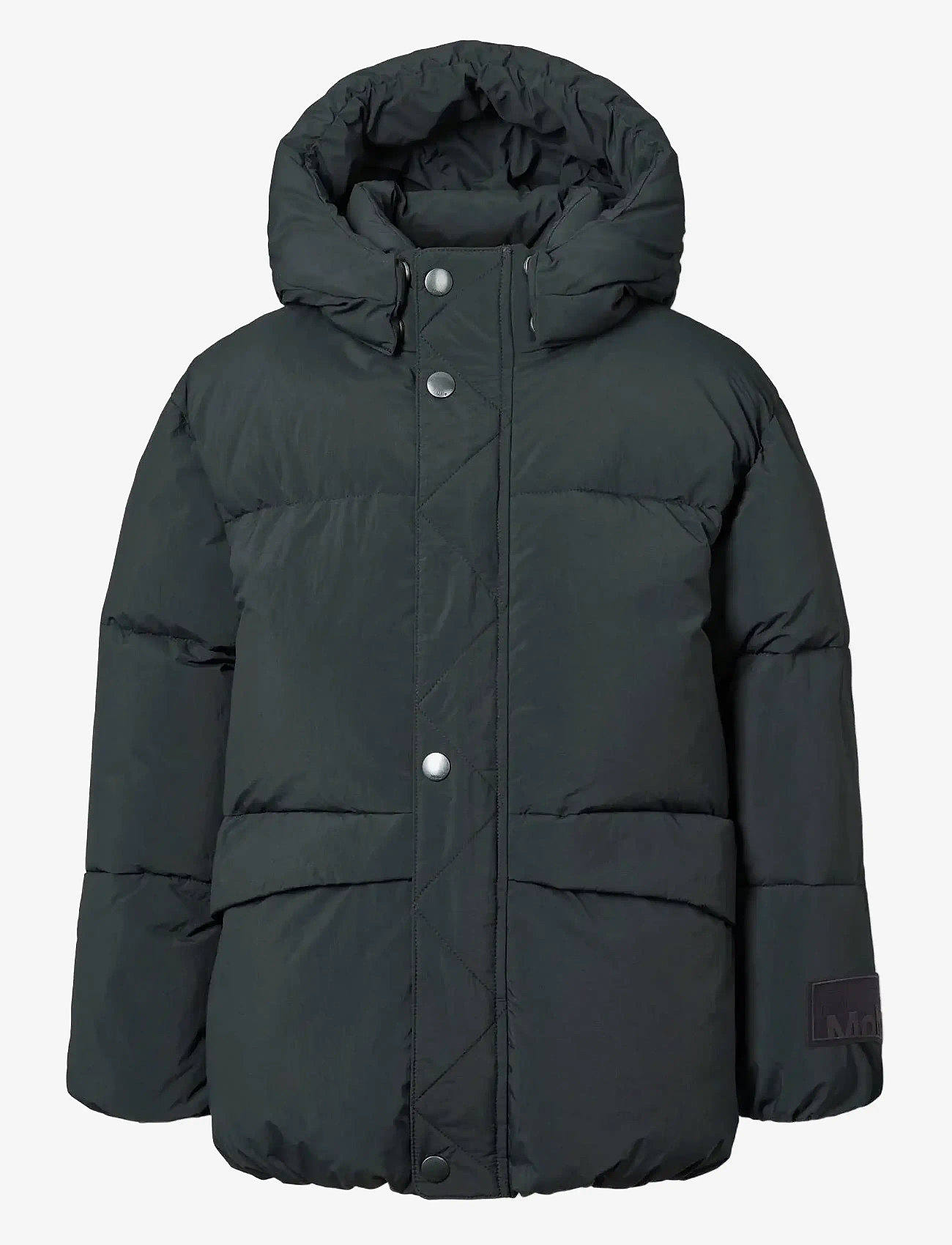 Molo - Hayden - dunjakker & forede jakker - black - 0