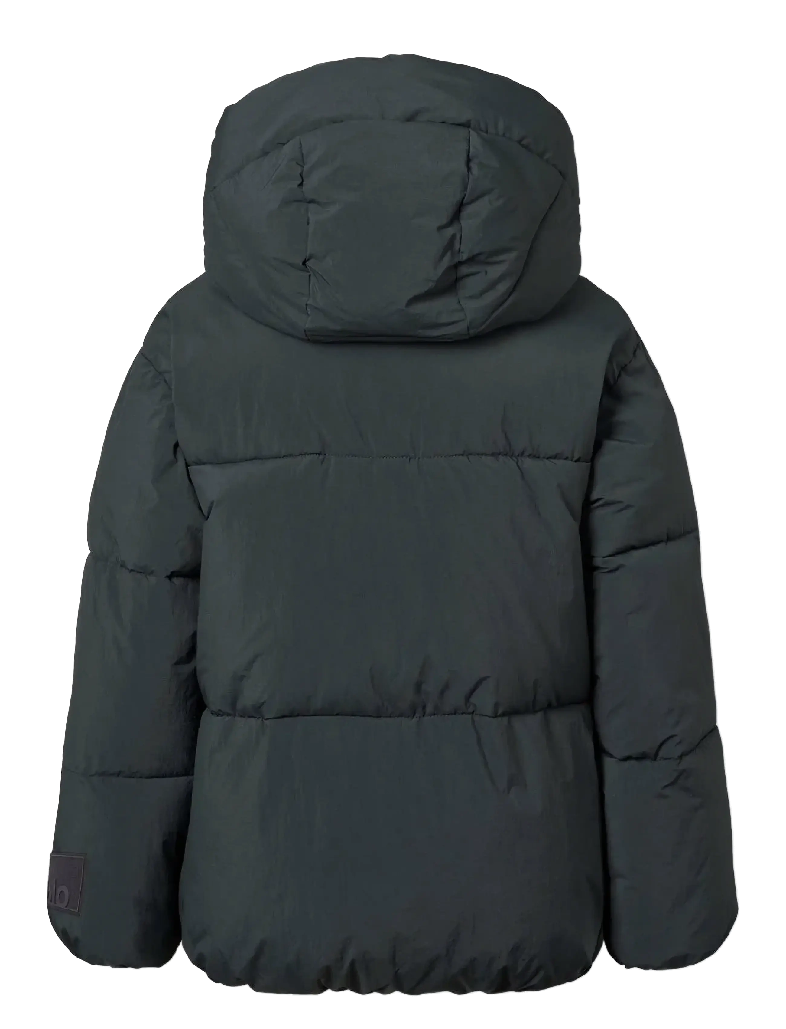 Molo - Hayden - dunjackor & fodrade jackor - black - 1