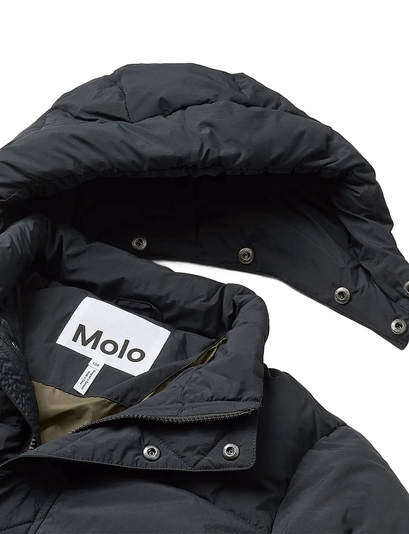 Molo - Hayden - dunjakker & forede jakker - black - 2