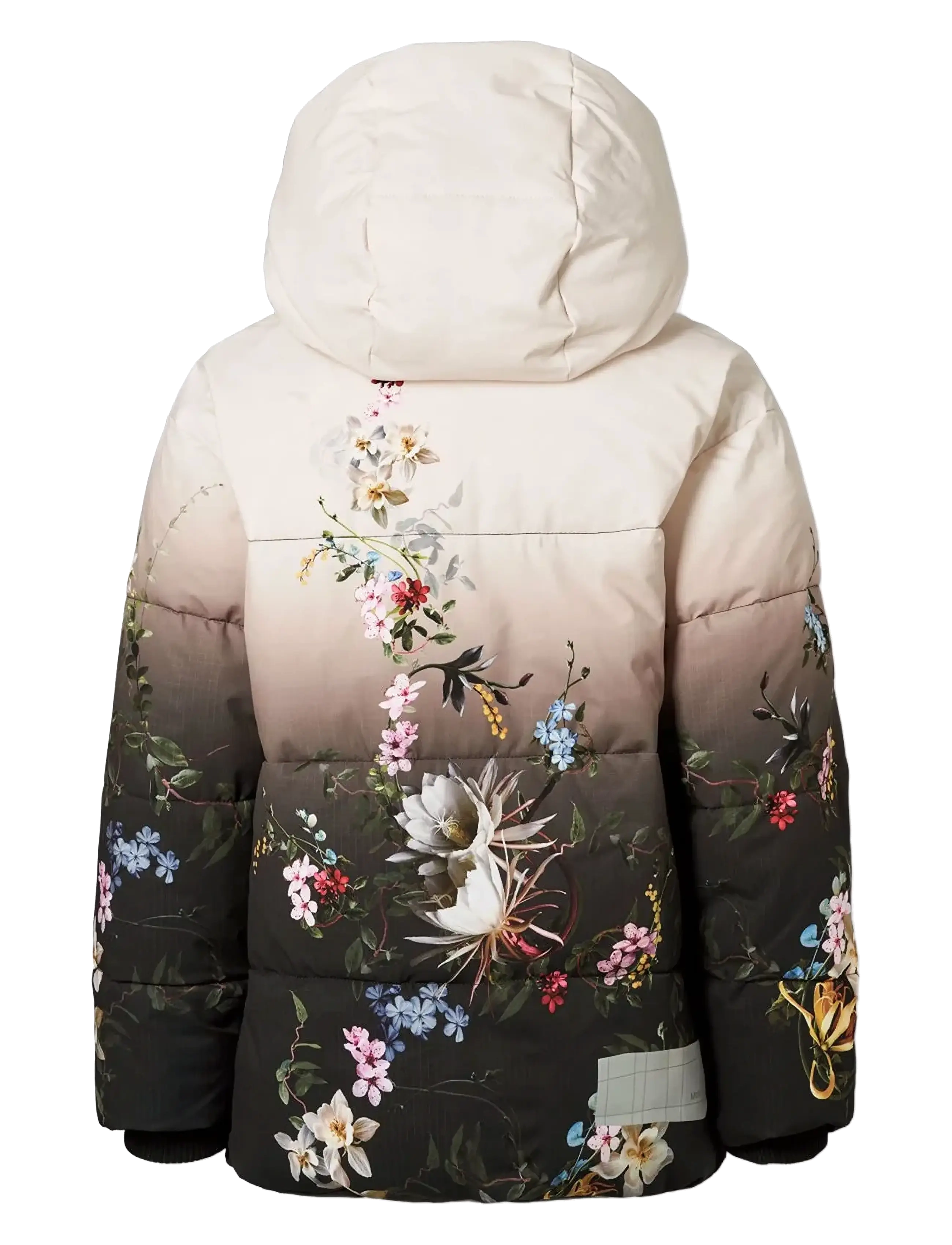 Molo - Hilo - winter jackets - faded paisley - 2