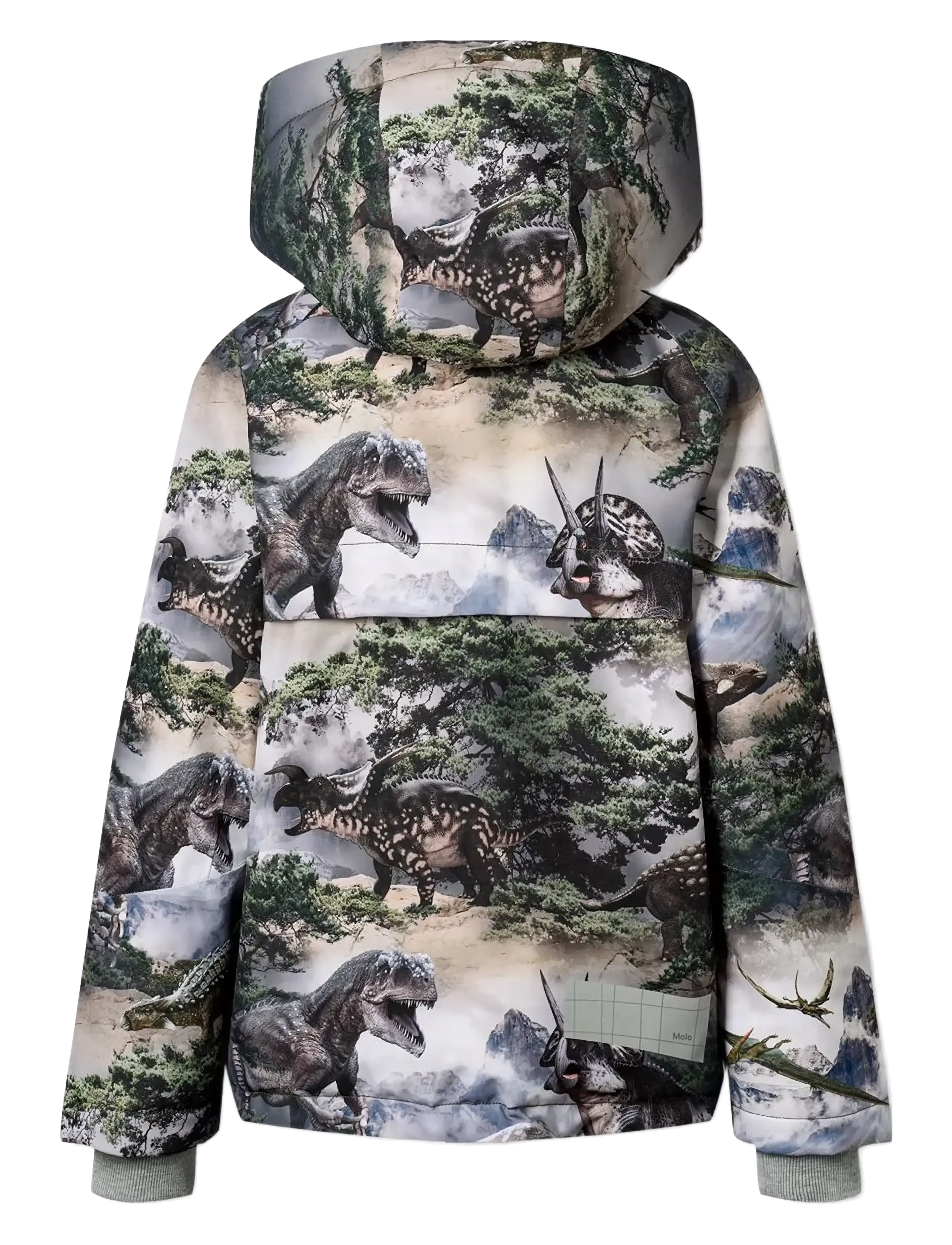 Molo - Castor - skíðajakkar - rocky dino - 1