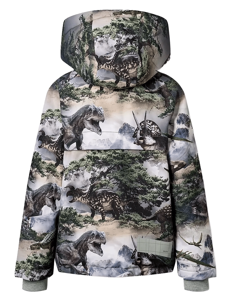 Molo - Castor - skíðajakkar - rocky dino - 1