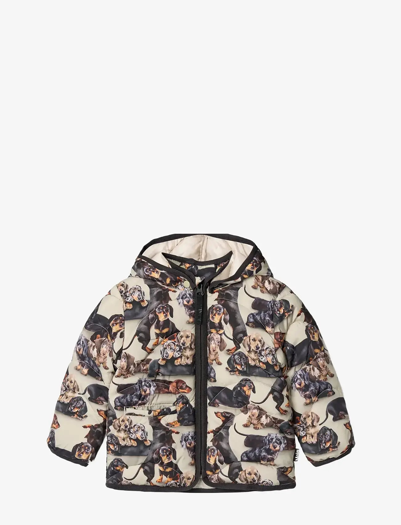 Molo - Harmony - dunjakker & forede jakker - dashshund soft - 0