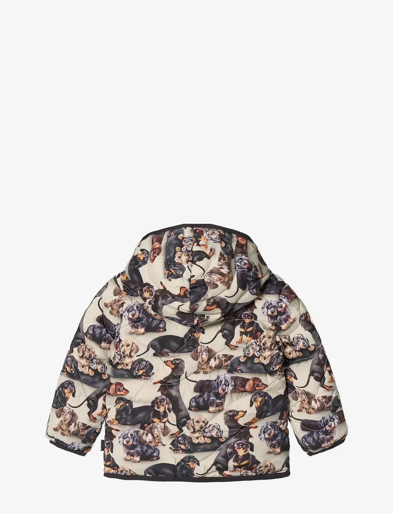 Molo - Harmony - dunjakker & forede jakker - dashshund soft - 1