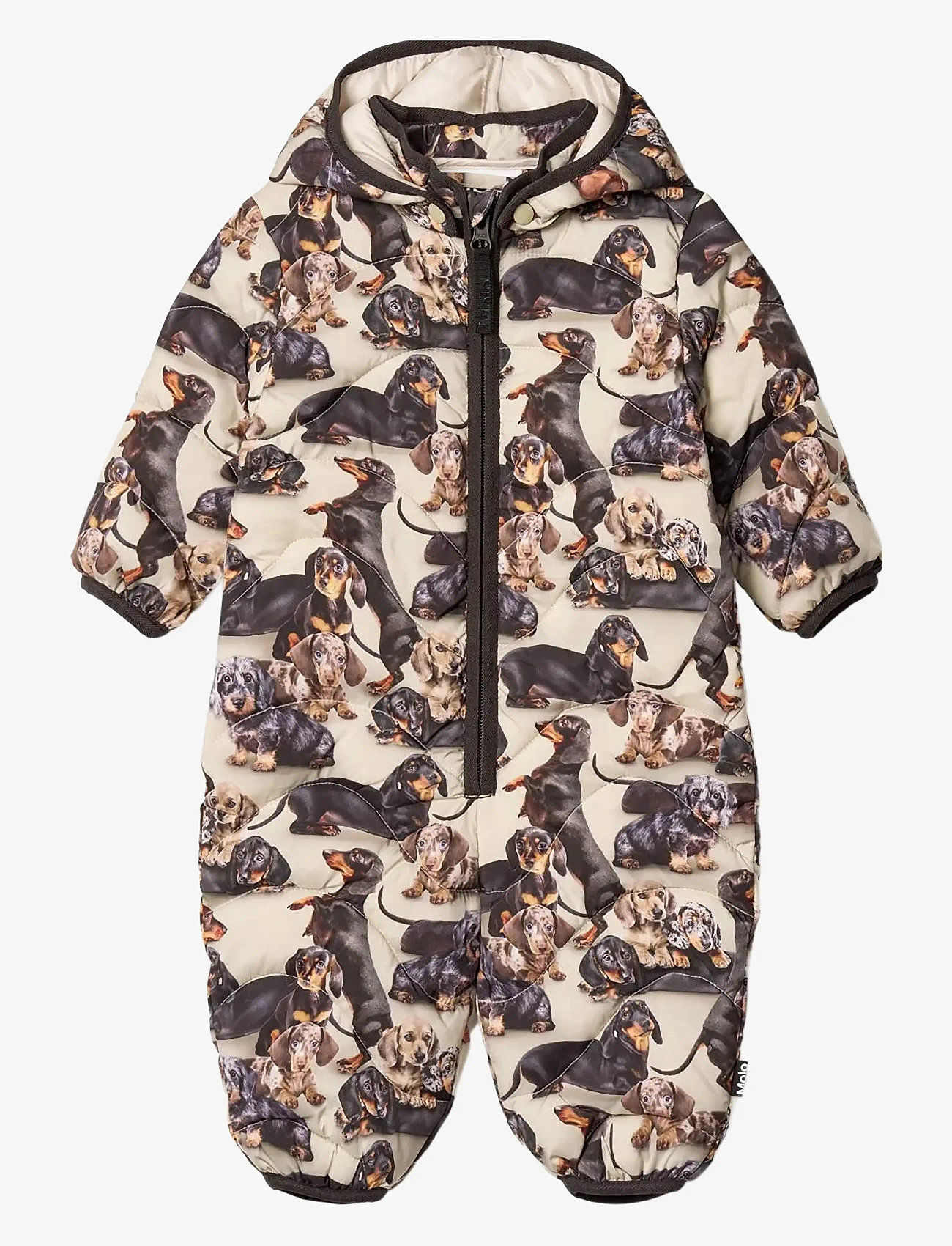 Molo - Honesty - talvihaalarit - dashshund soft - 0