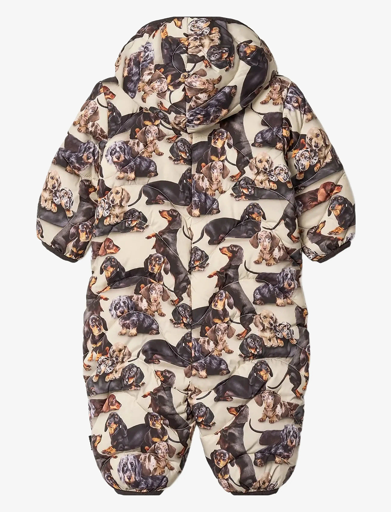 Molo - Honesty - talvihaalarit - dashshund soft - 1