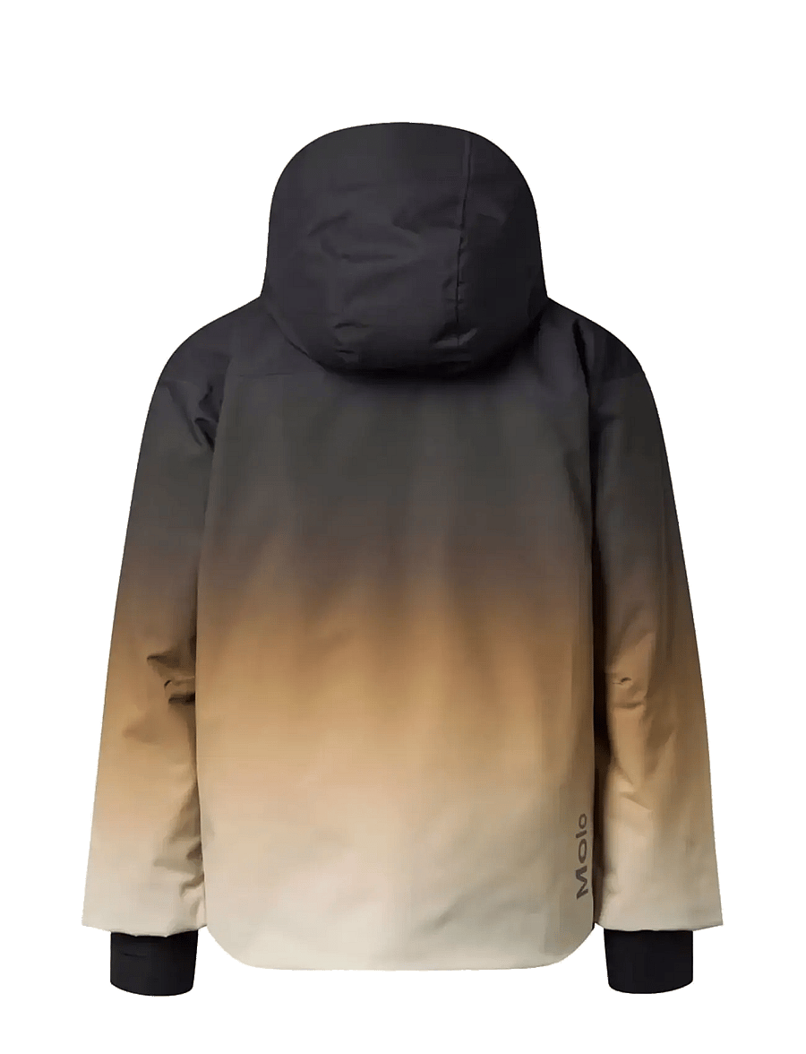 Molo - Alpine - skidjackor - faded brown - 1