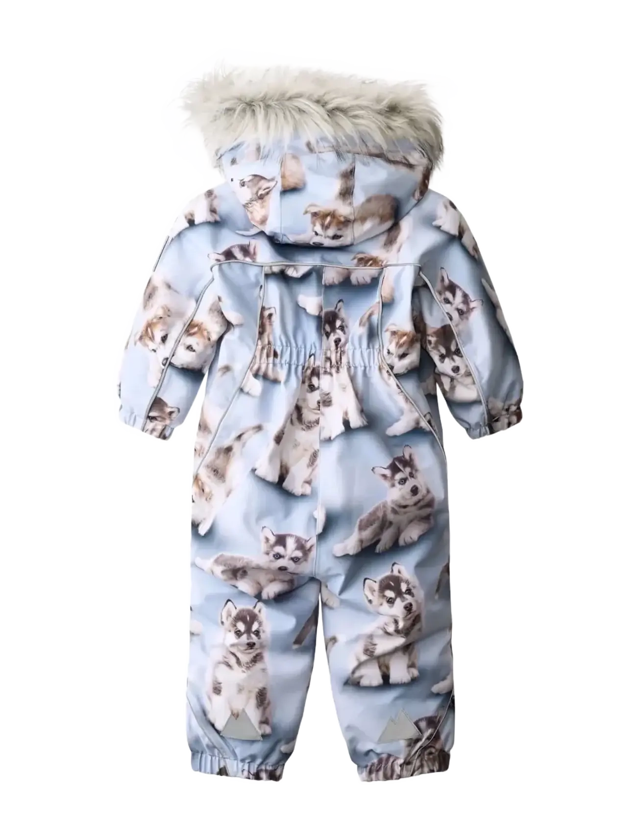 Molo - Pyxis Fur - husky cubs - 1