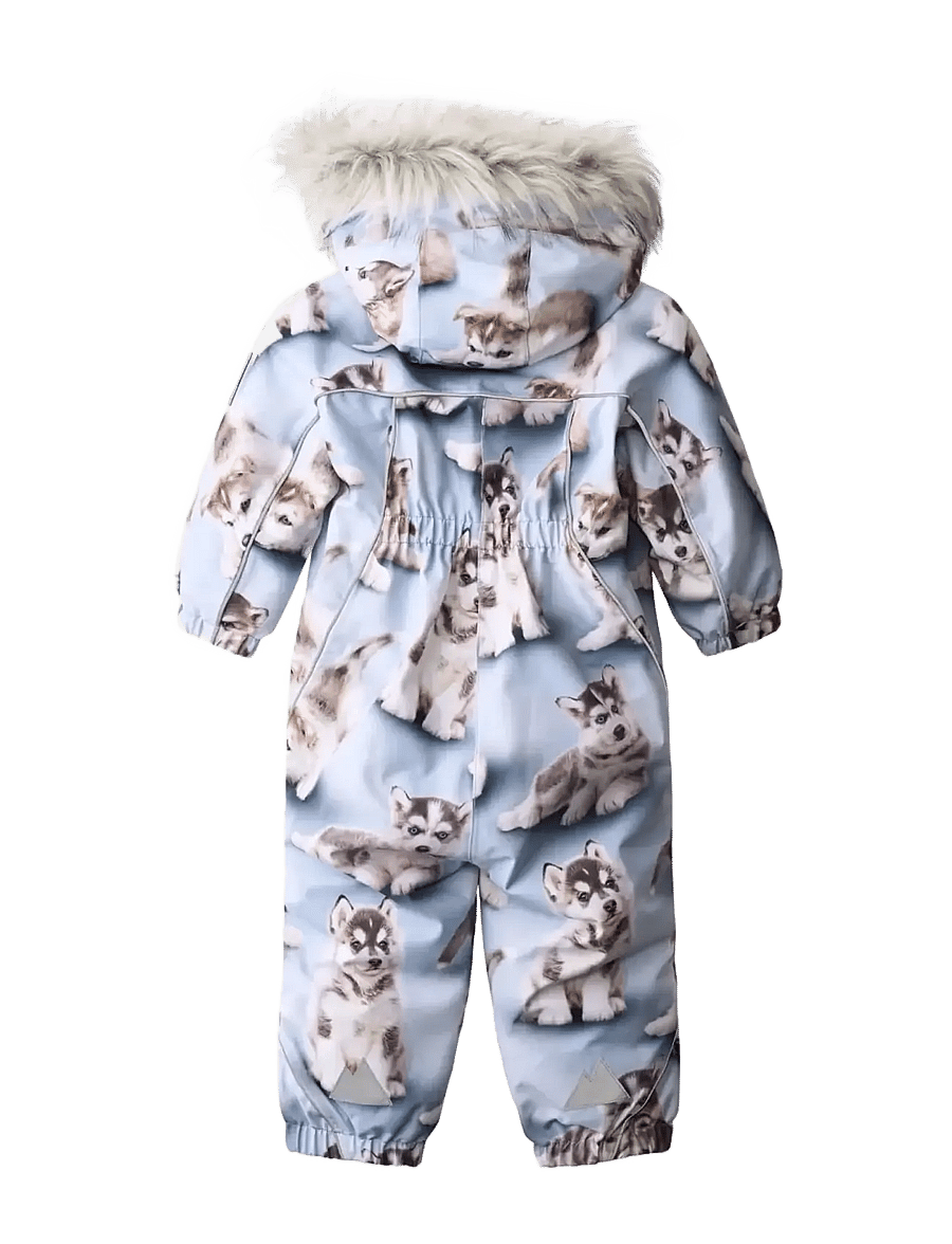 Molo - Pyxis Fur - husky cubs - 1