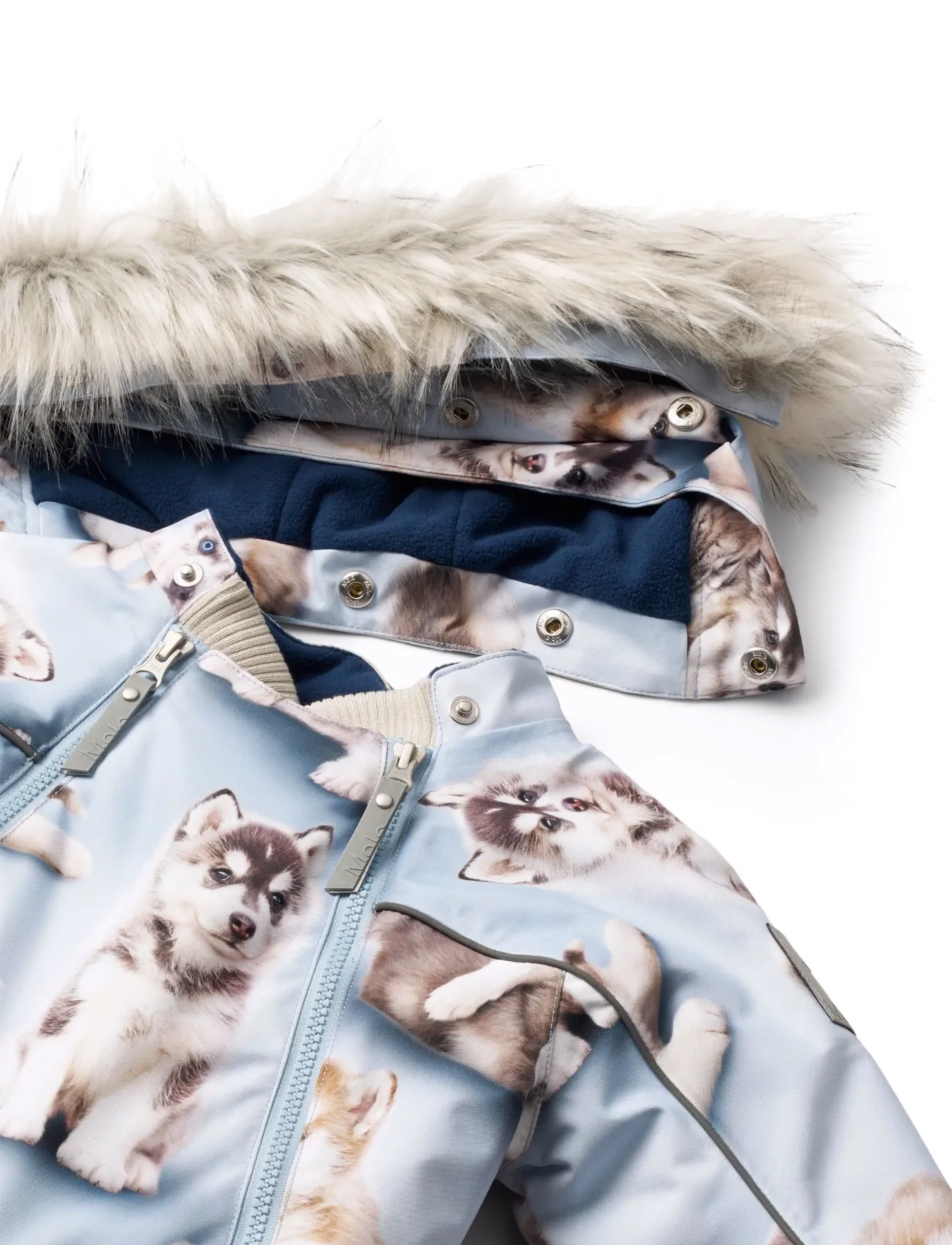 Molo - Pyxis Fur - husky cubs - 2
